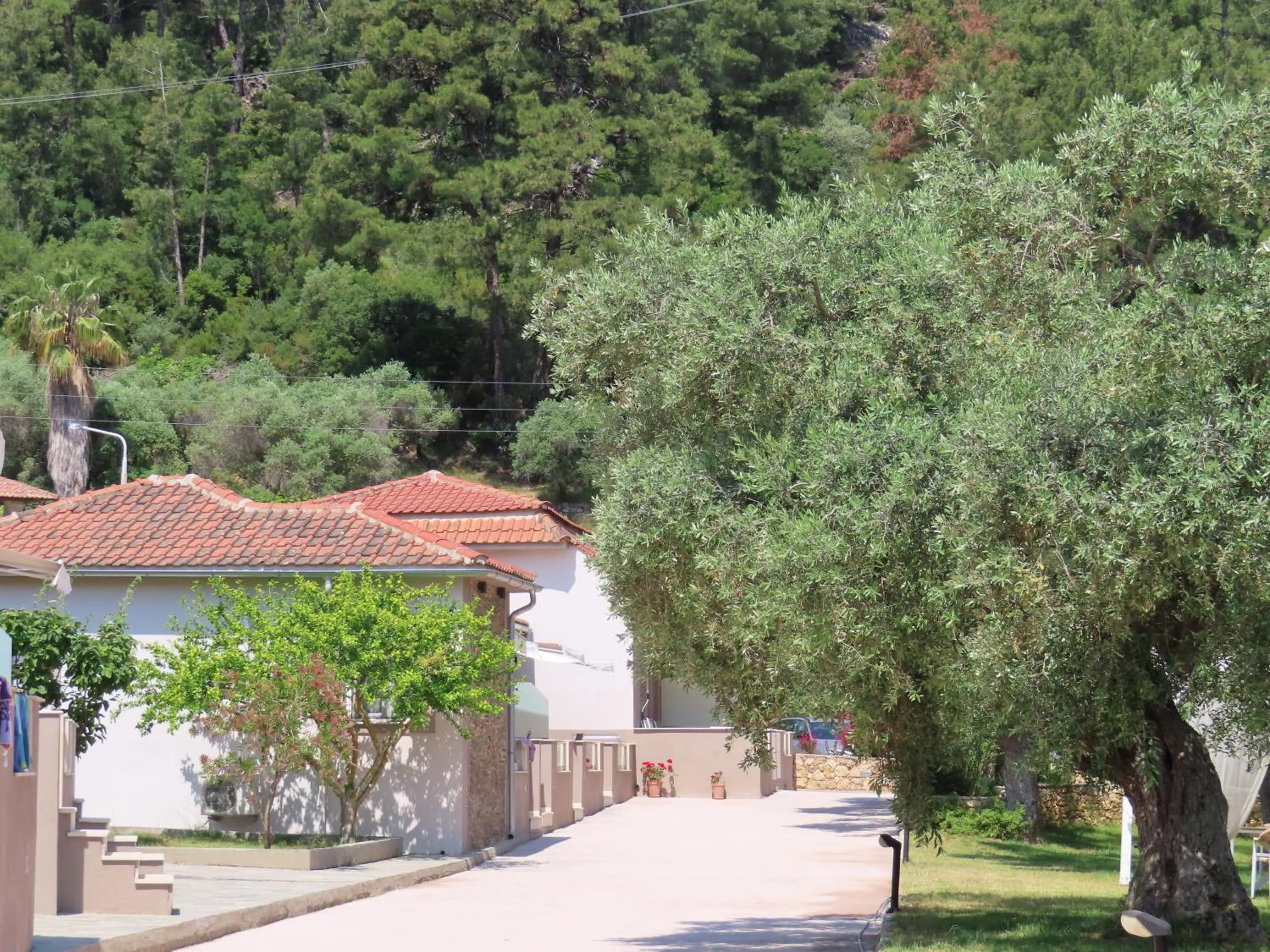 Property building in Aroma Beach Bungalows
