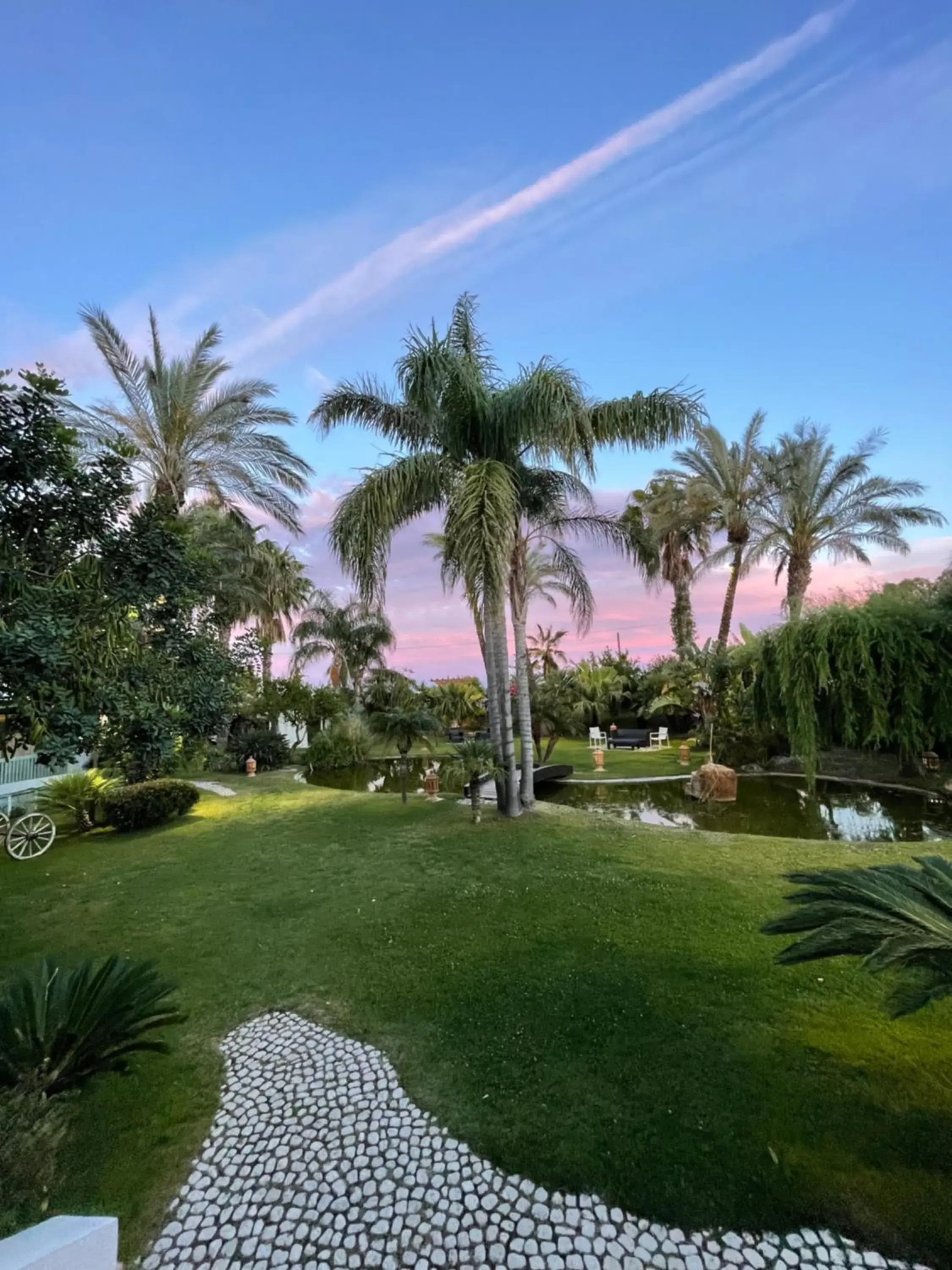 Hotel Mediterraneo Hotel Mediterraneo