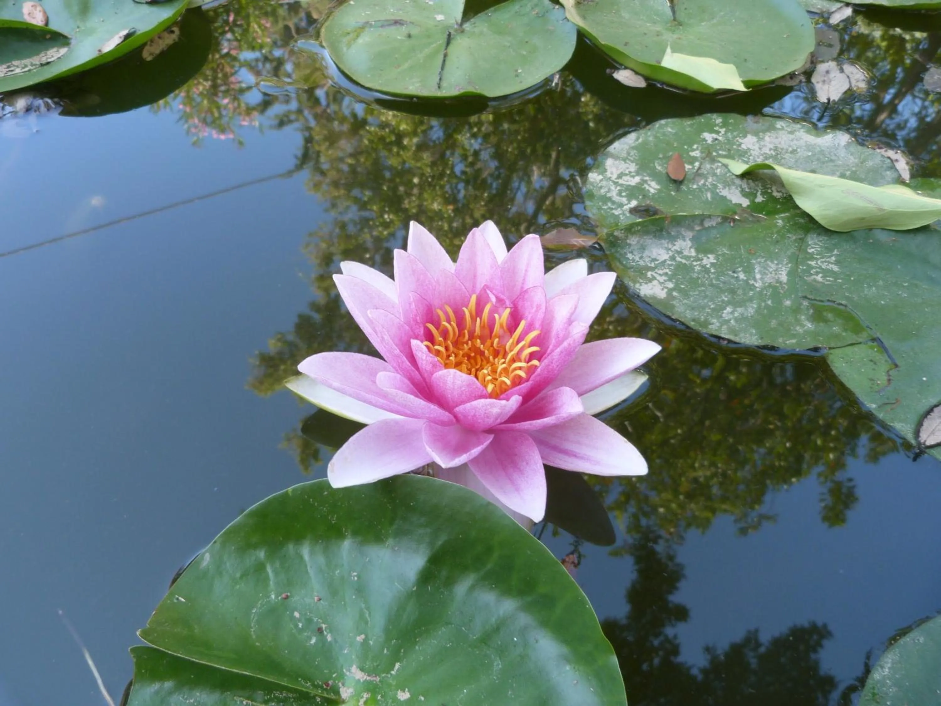 Other in Hotel Mediterraneo