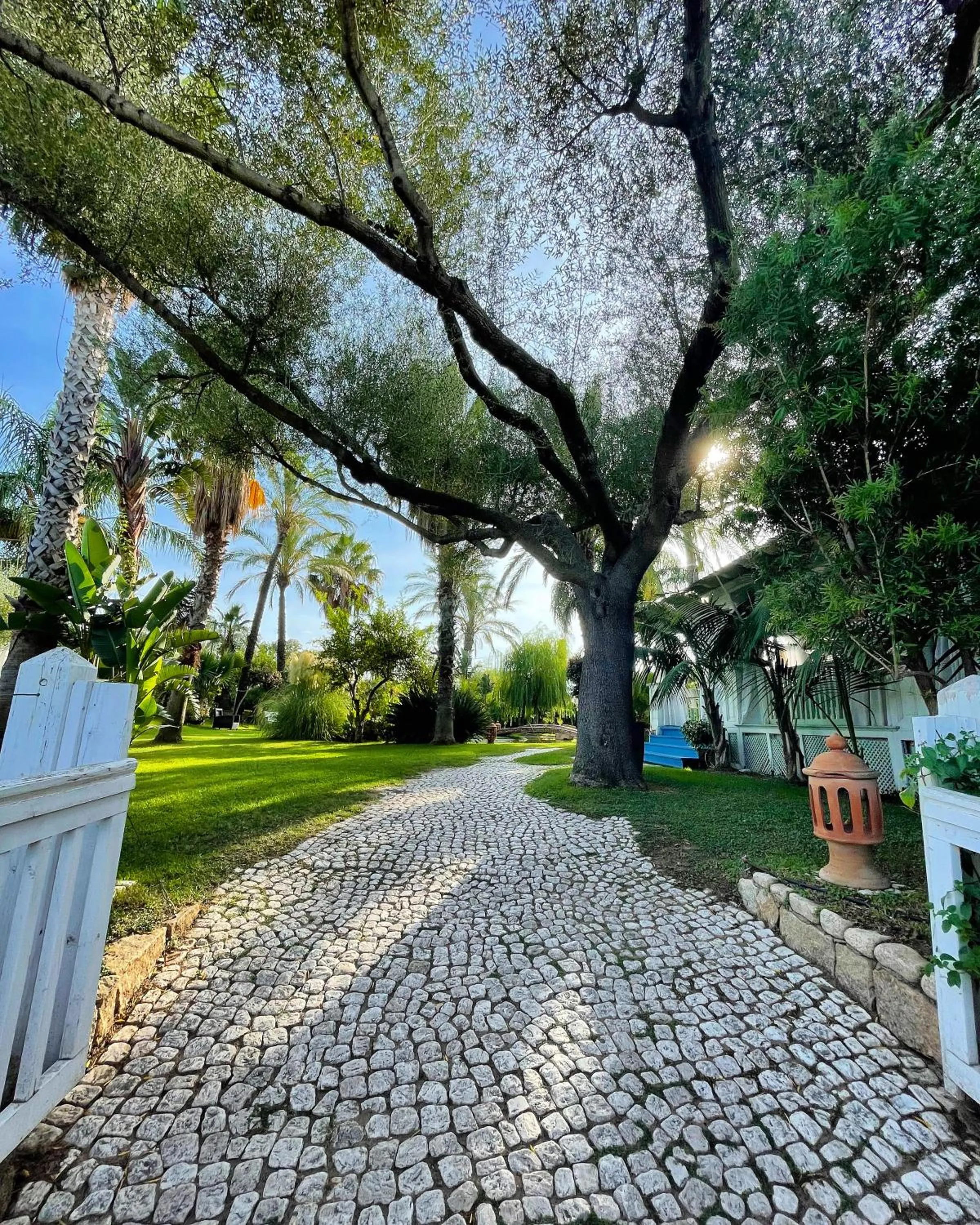 Garden in Hotel Mediterraneo