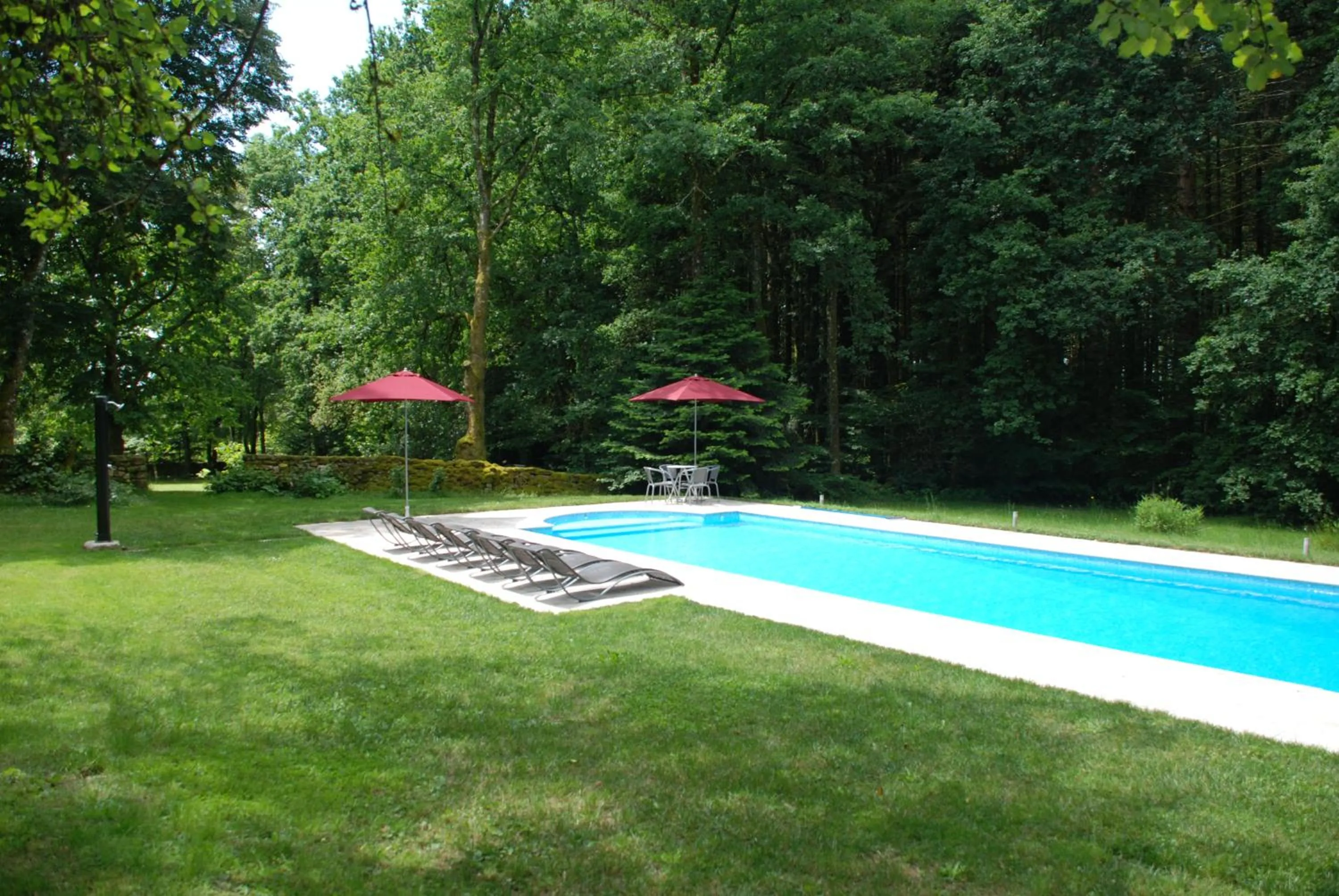 Swimming pool in B&B Chateau le Bois
