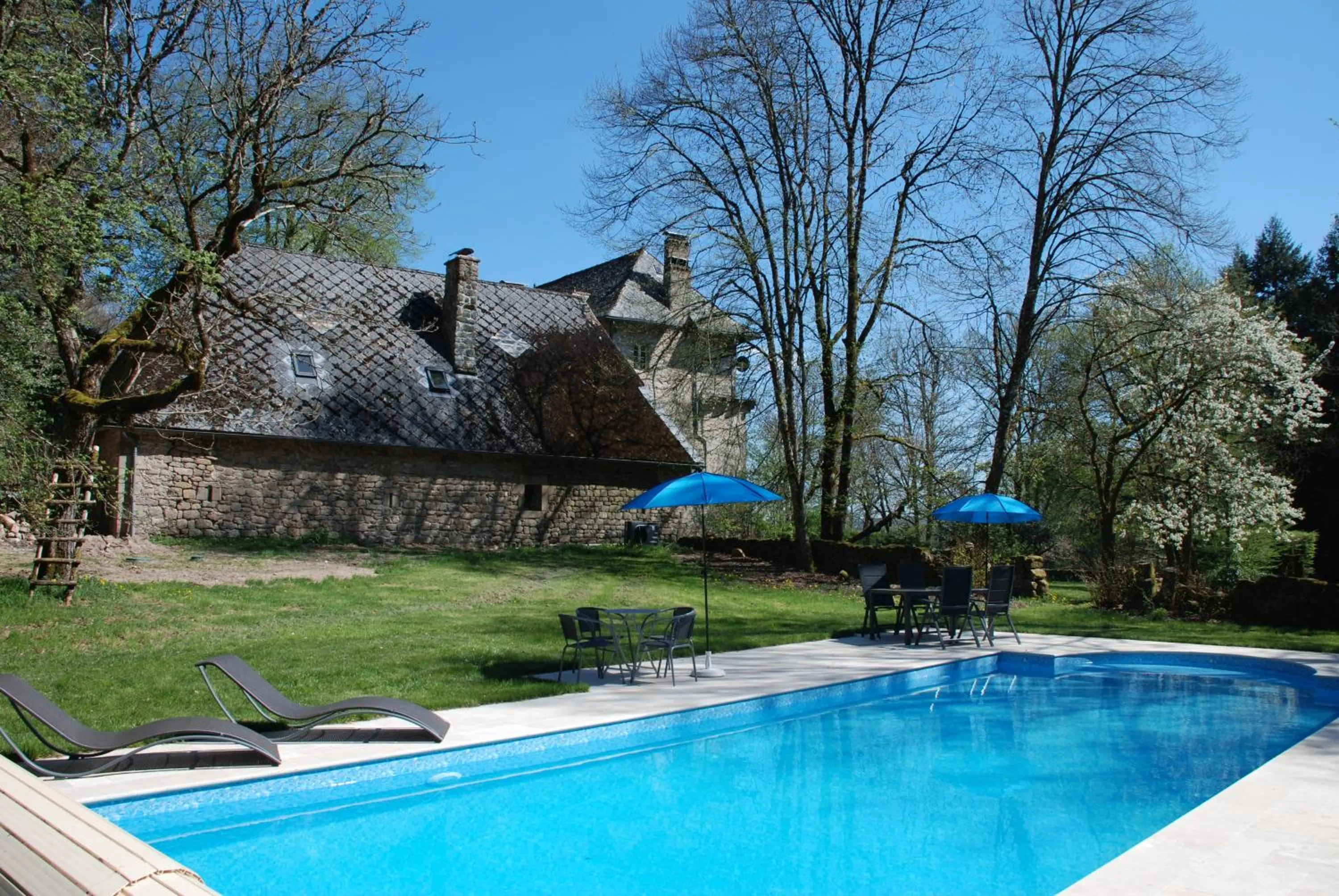 Swimming pool in B&B Chateau le Bois