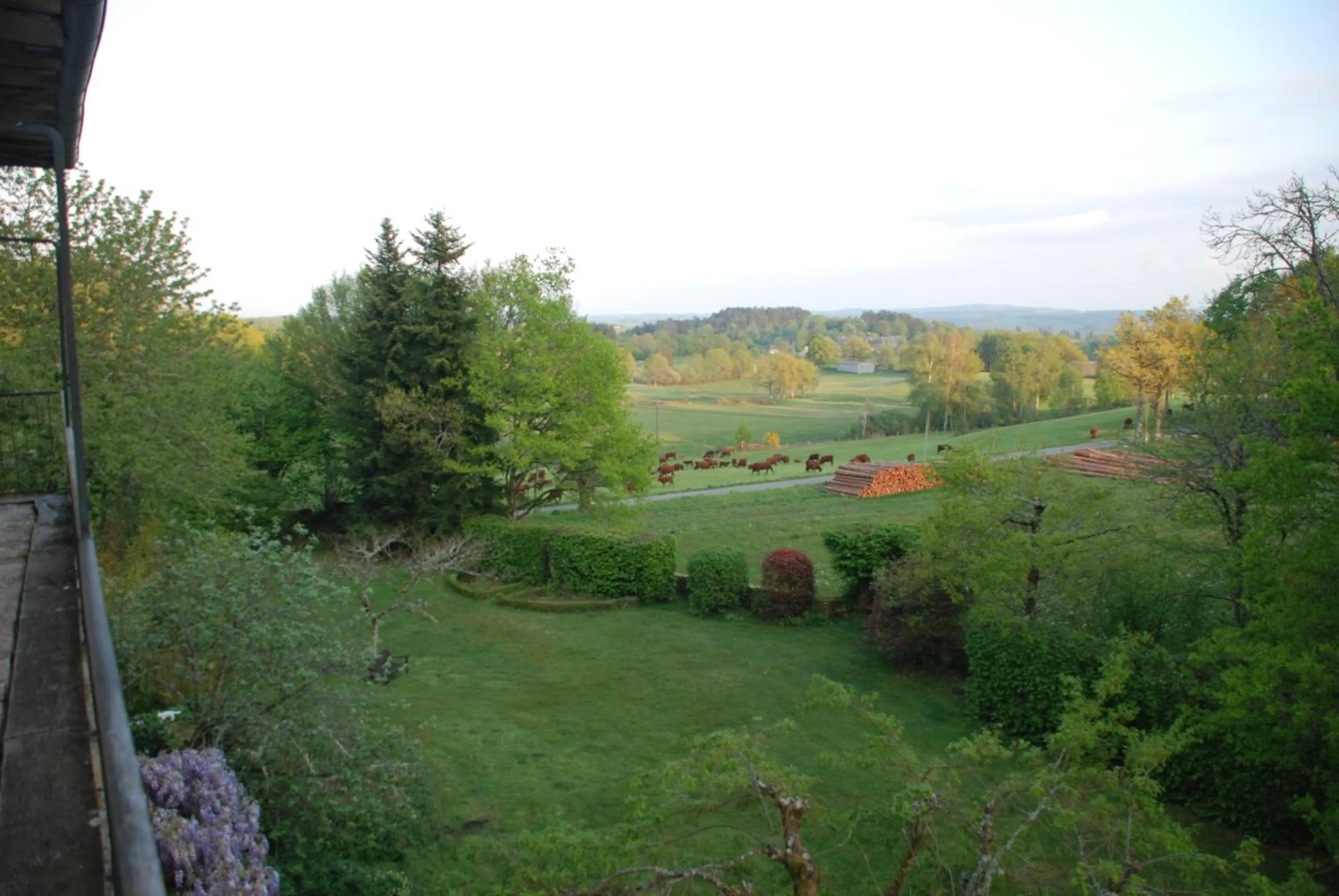 Natural landscape in B&B Chateau le Bois