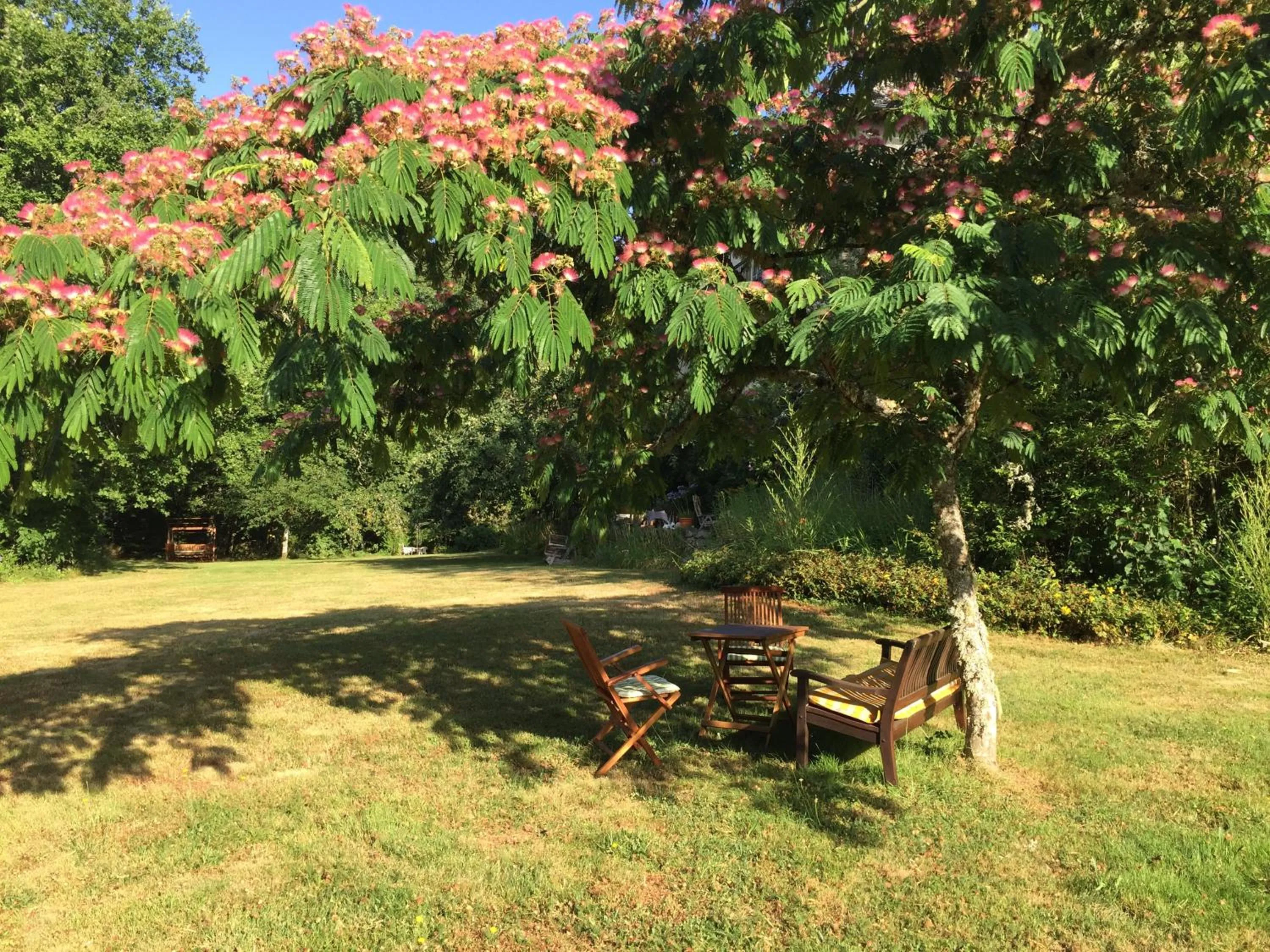Garden in B&B Chateau le Bois