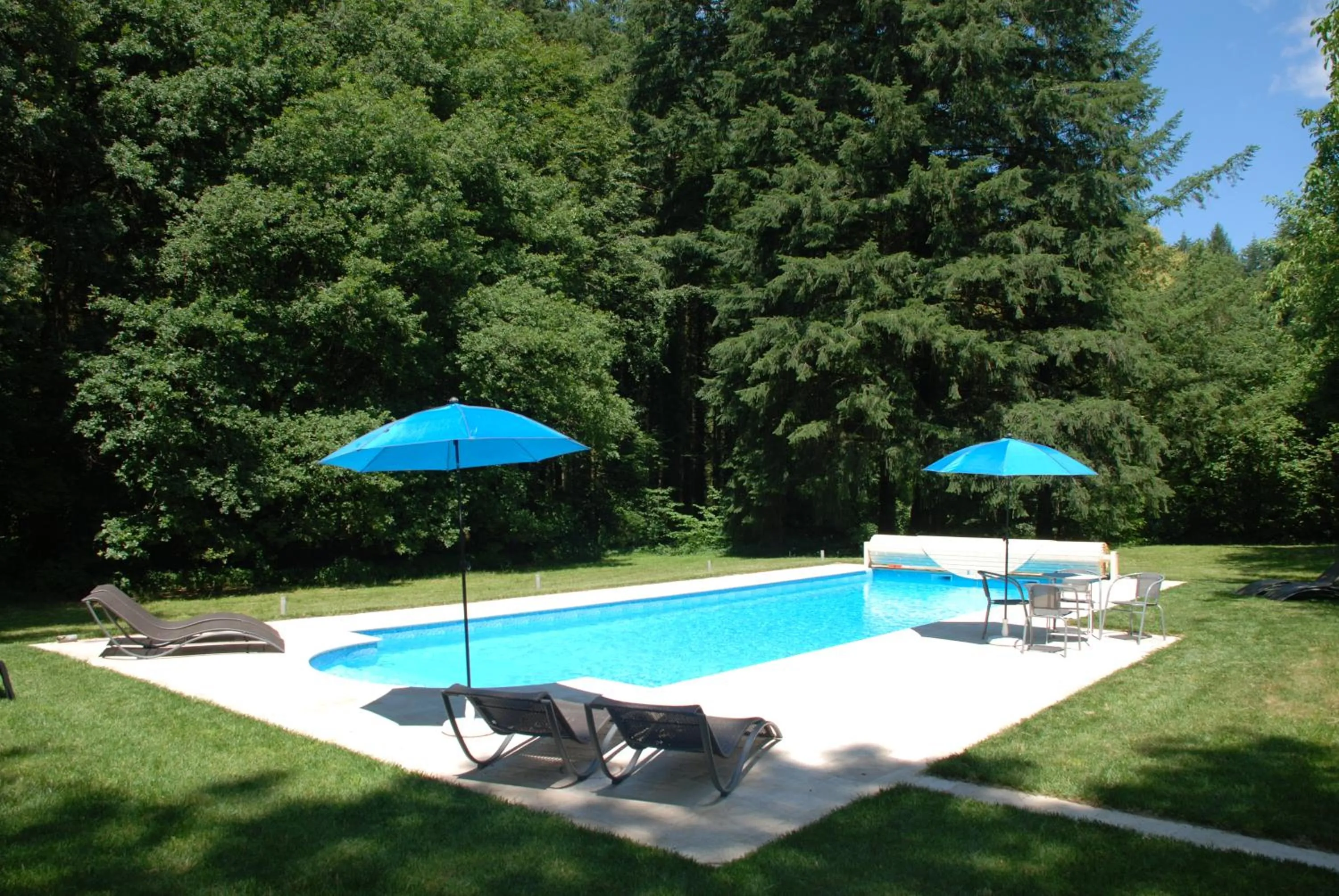 Swimming pool in B&B Chateau le Bois