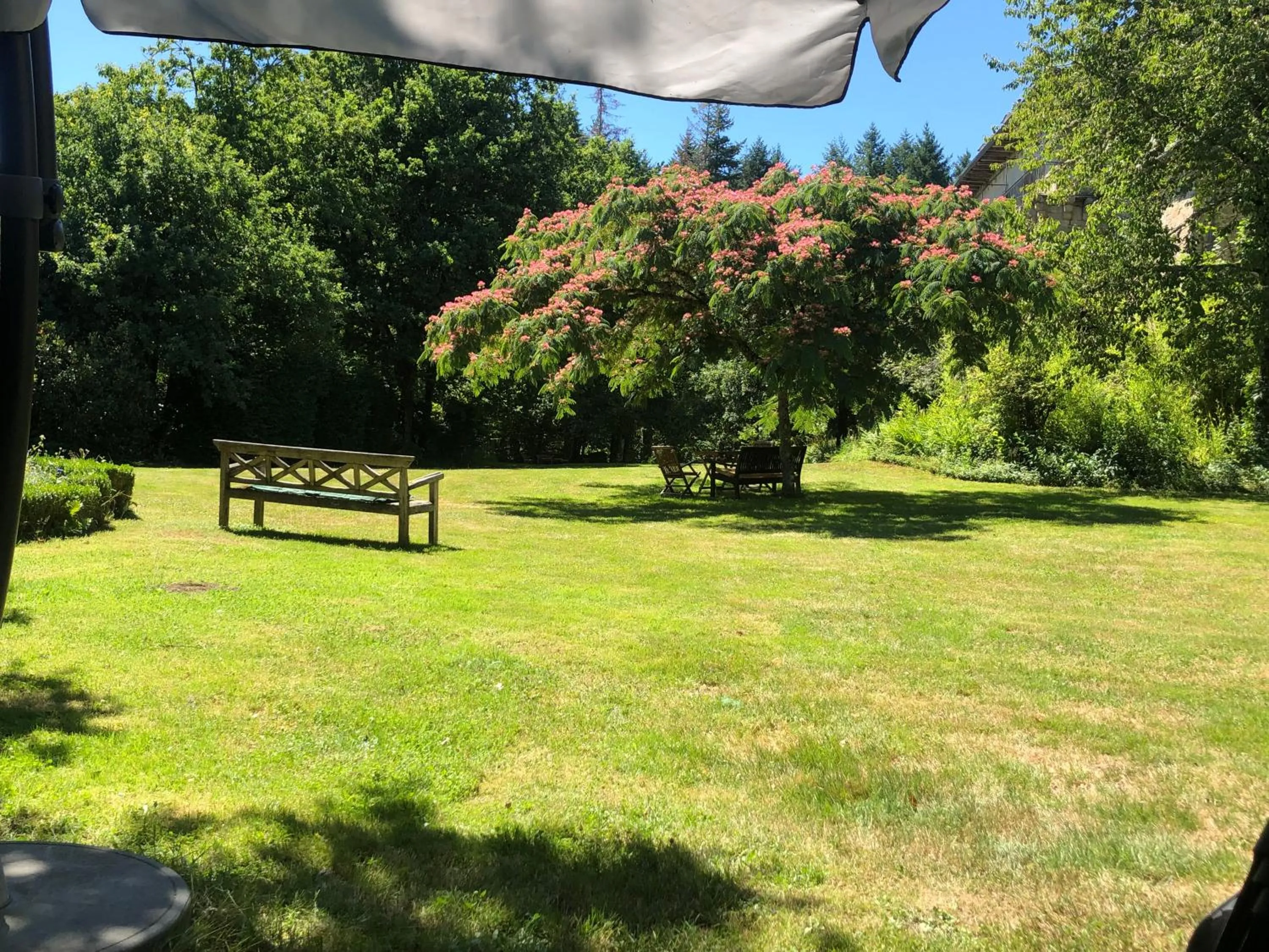 View (from property/room) in B&B Chateau le Bois