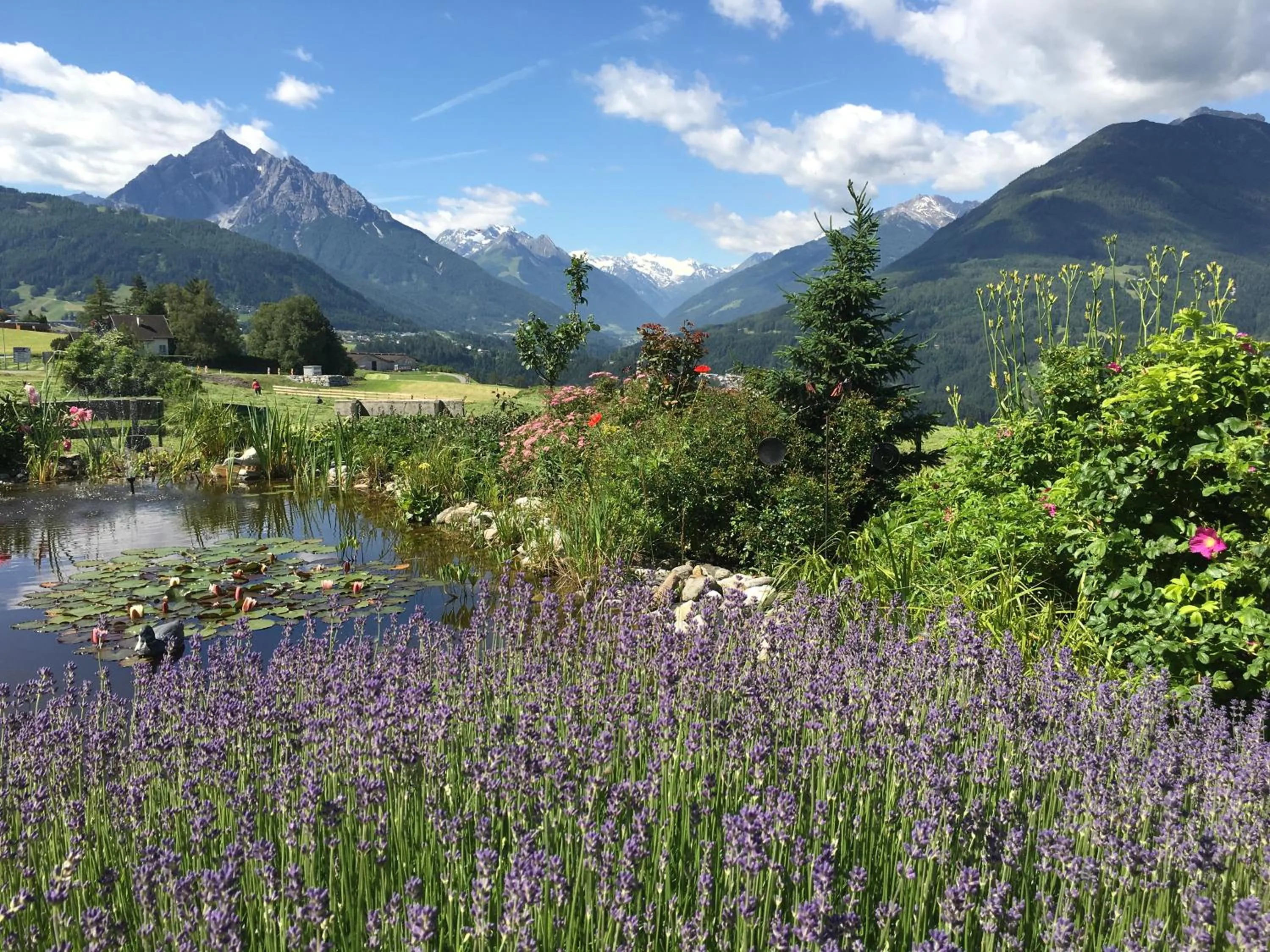 Natural landscape in Hotel Restaurant Grünwalderhof