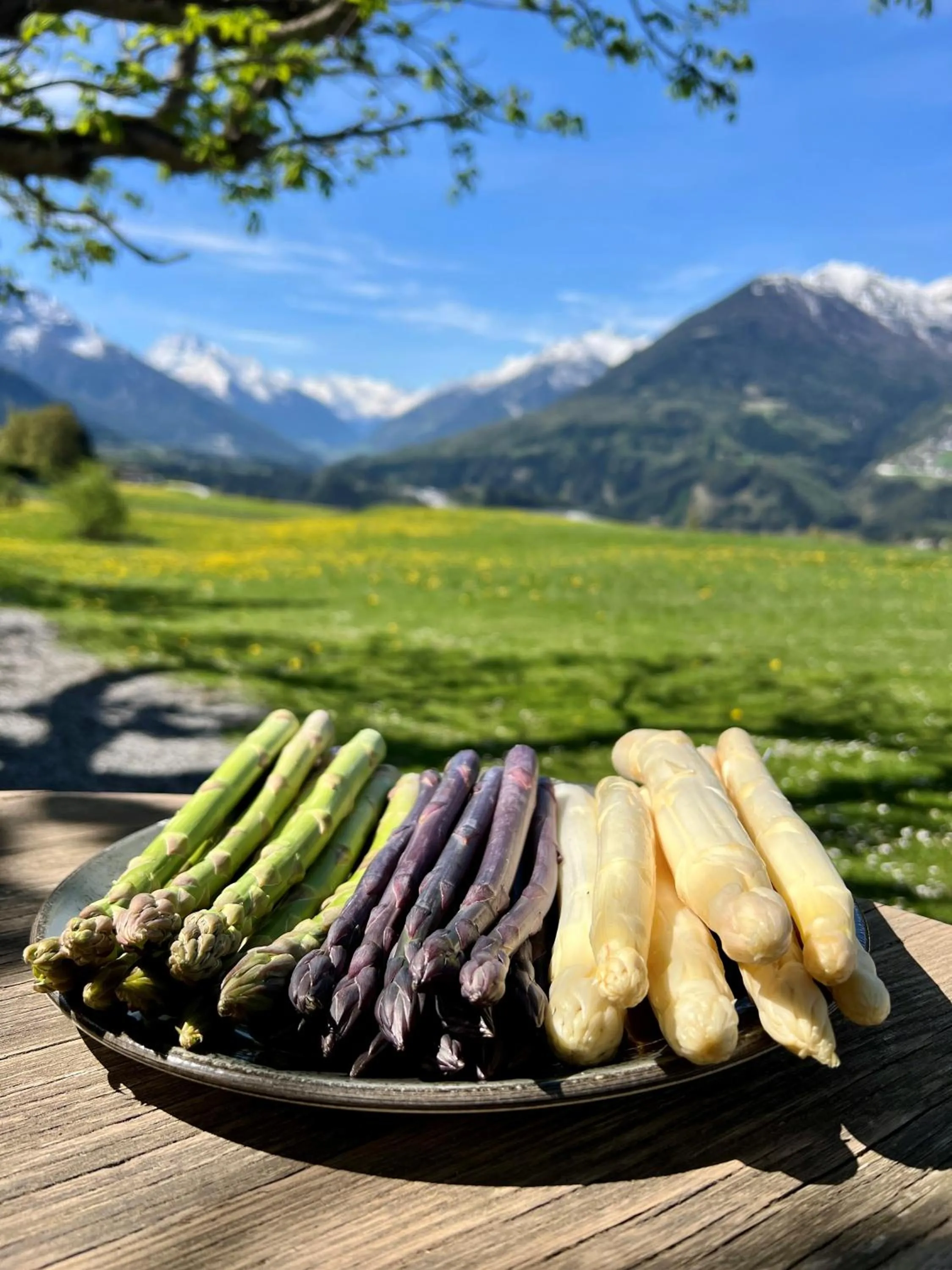 Restaurant/places to eat in Hotel Restaurant Grünwalderhof