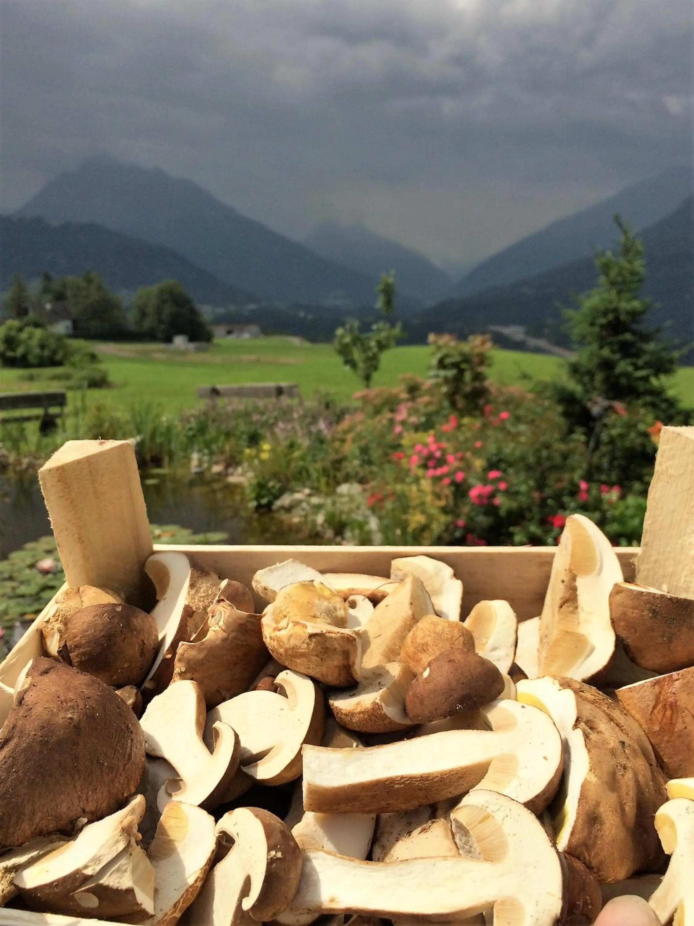 Food close-up in Hotel Restaurant Grünwalderhof