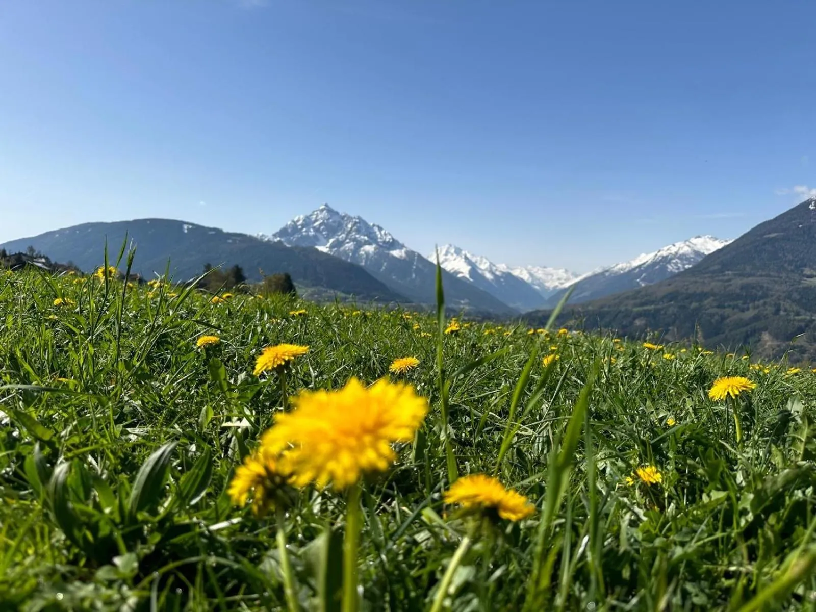 View (from property/room) in Hotel Restaurant Grünwalderhof