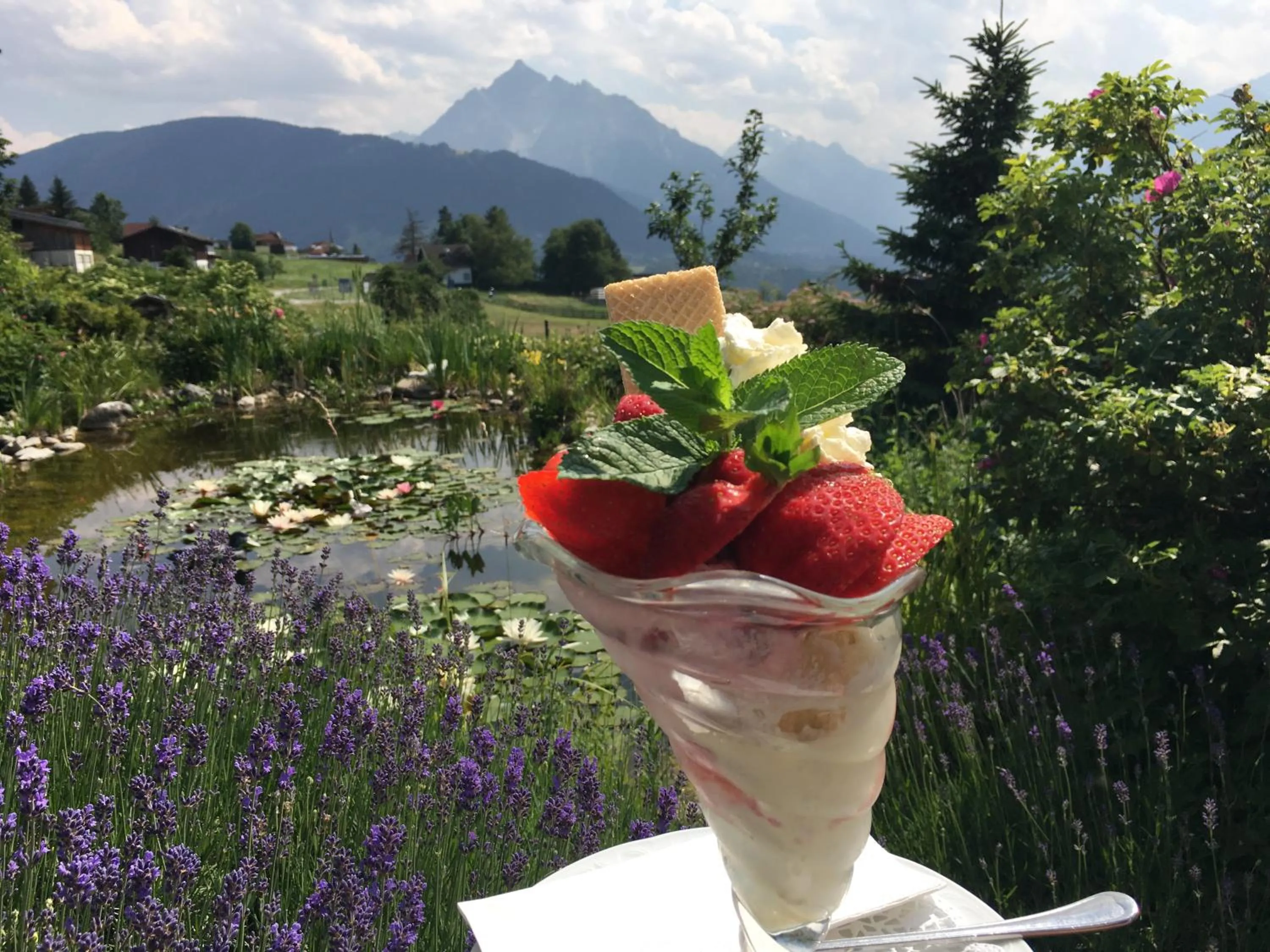 Day in Hotel Restaurant Grünwalderhof