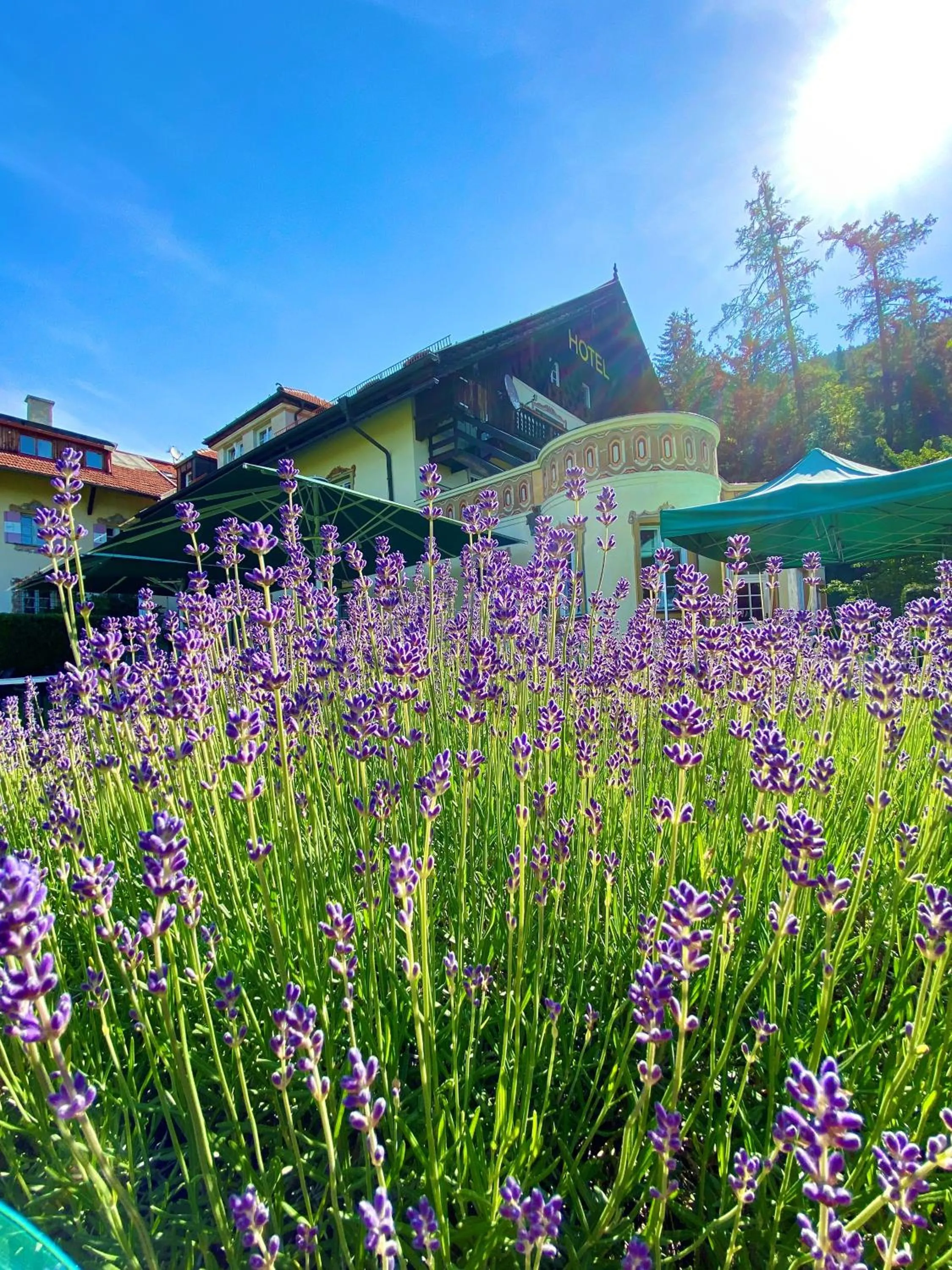 Summer in Hotel Restaurant Grünwalderhof