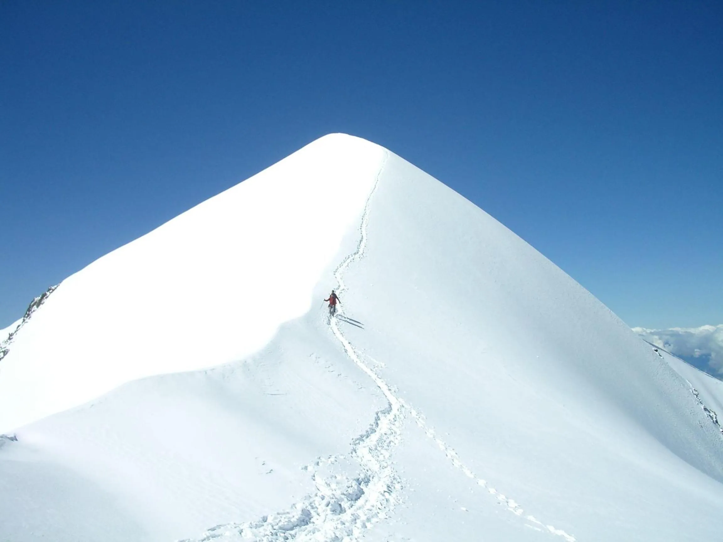 Area and facilities in Hotel Restaurant Grünwalderhof