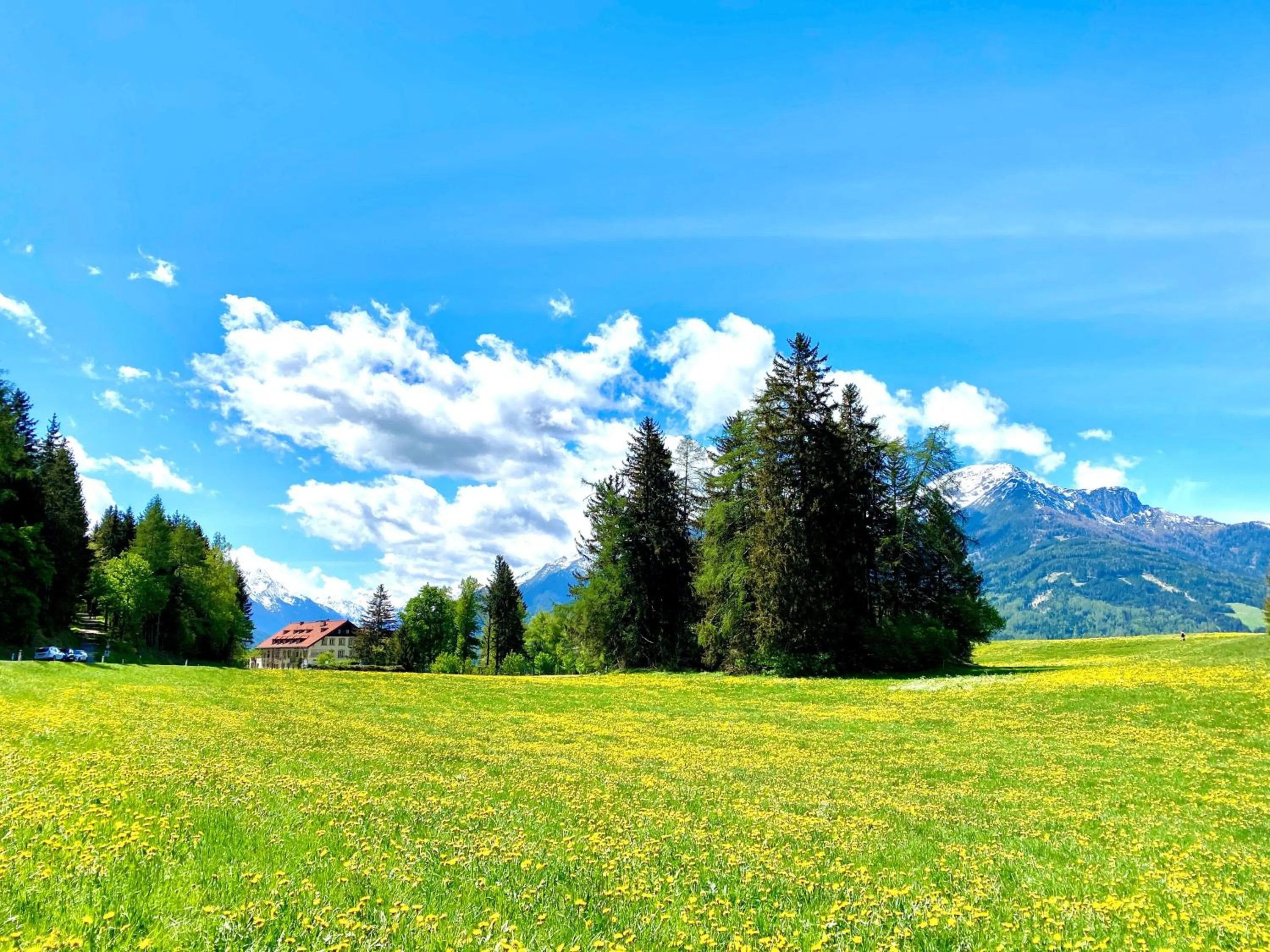 Spring in Hotel Restaurant Grünwalderhof