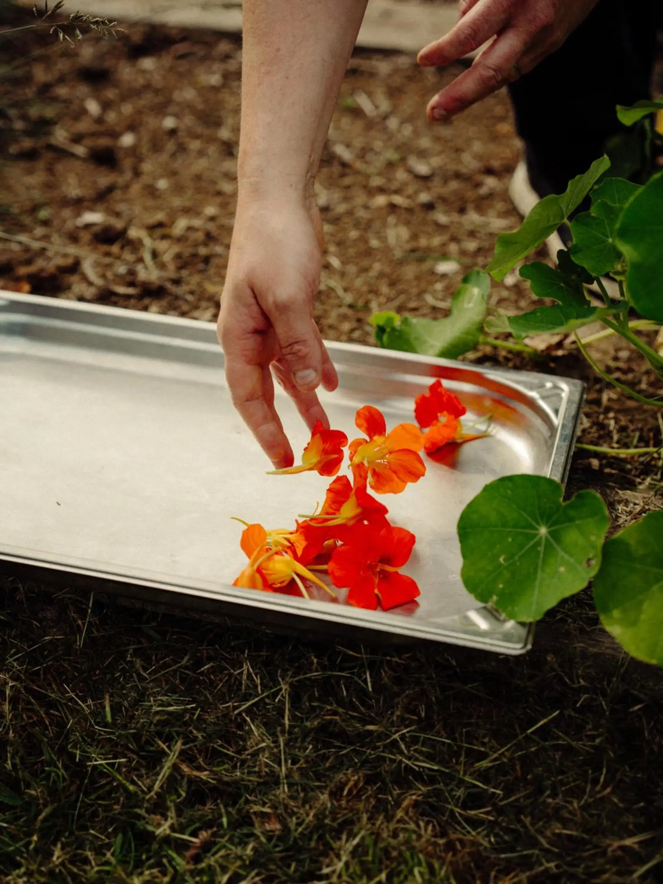 Food in Hôtel Restaurant Ar Milin-Logis hôtels Food in Hôtel Restaurant Ar Milin-Logis hôtels