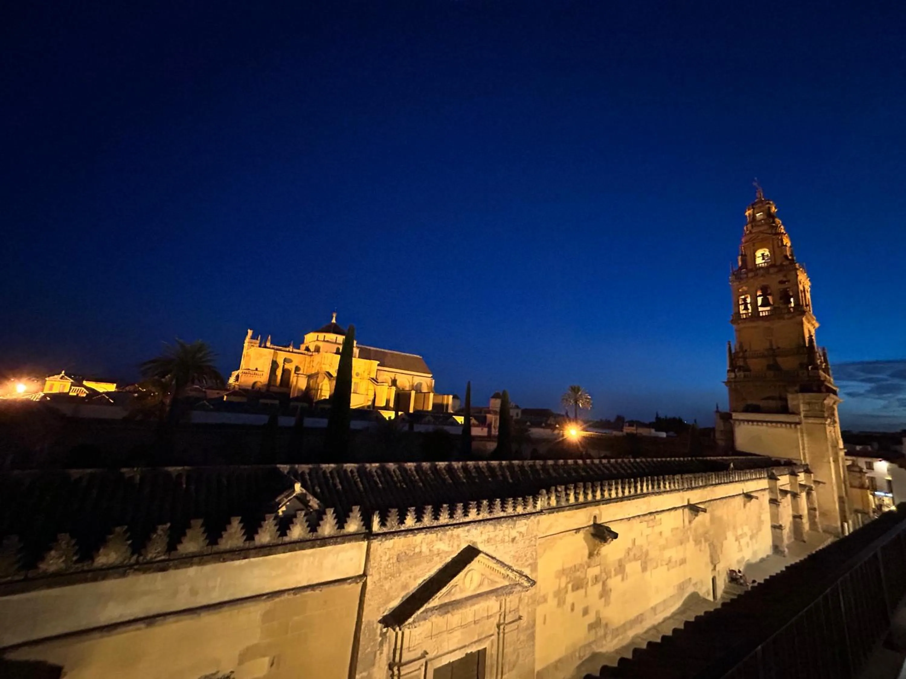 Balcony/Terrace in Hotel Marisa