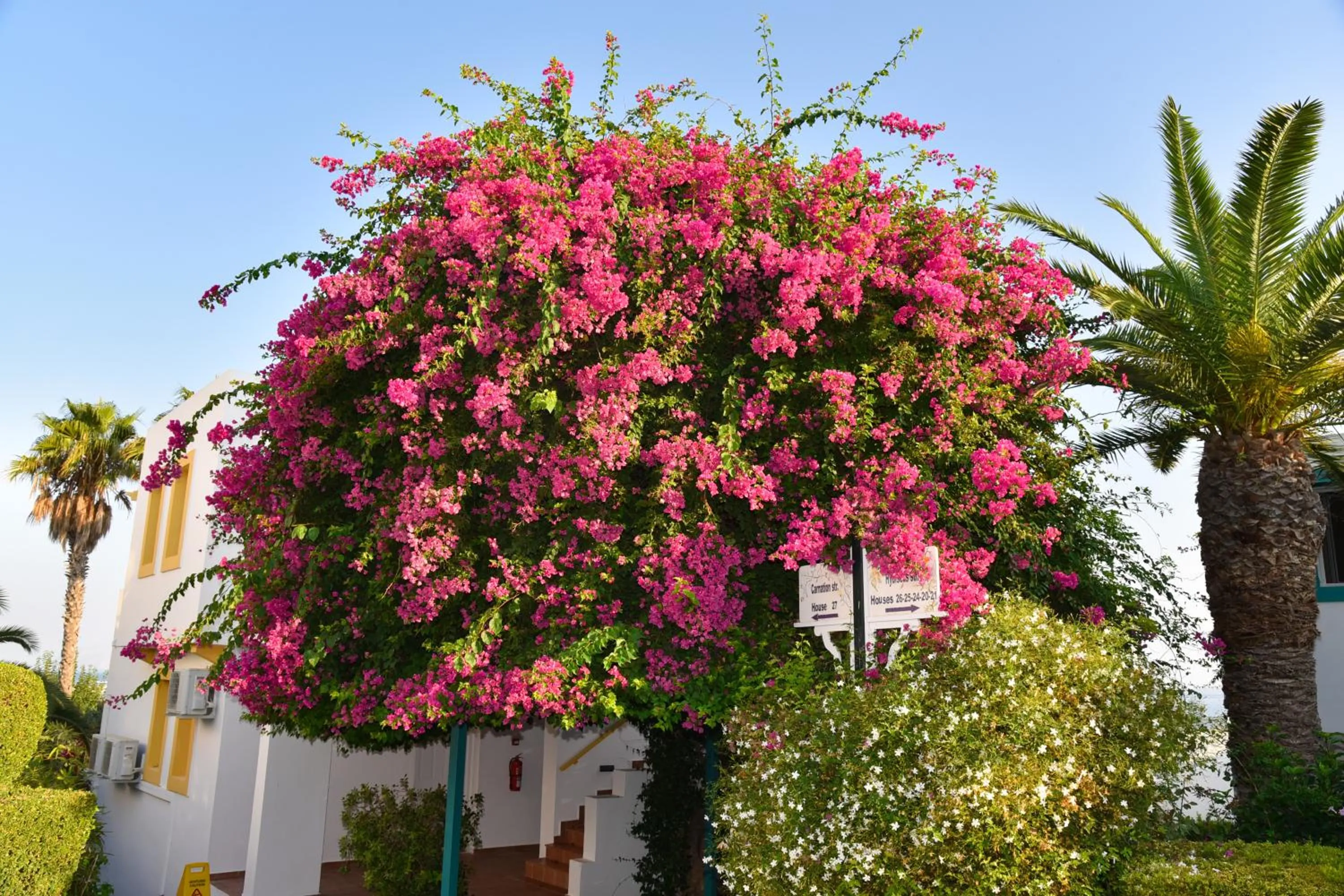 Mastichari Bay Hotel