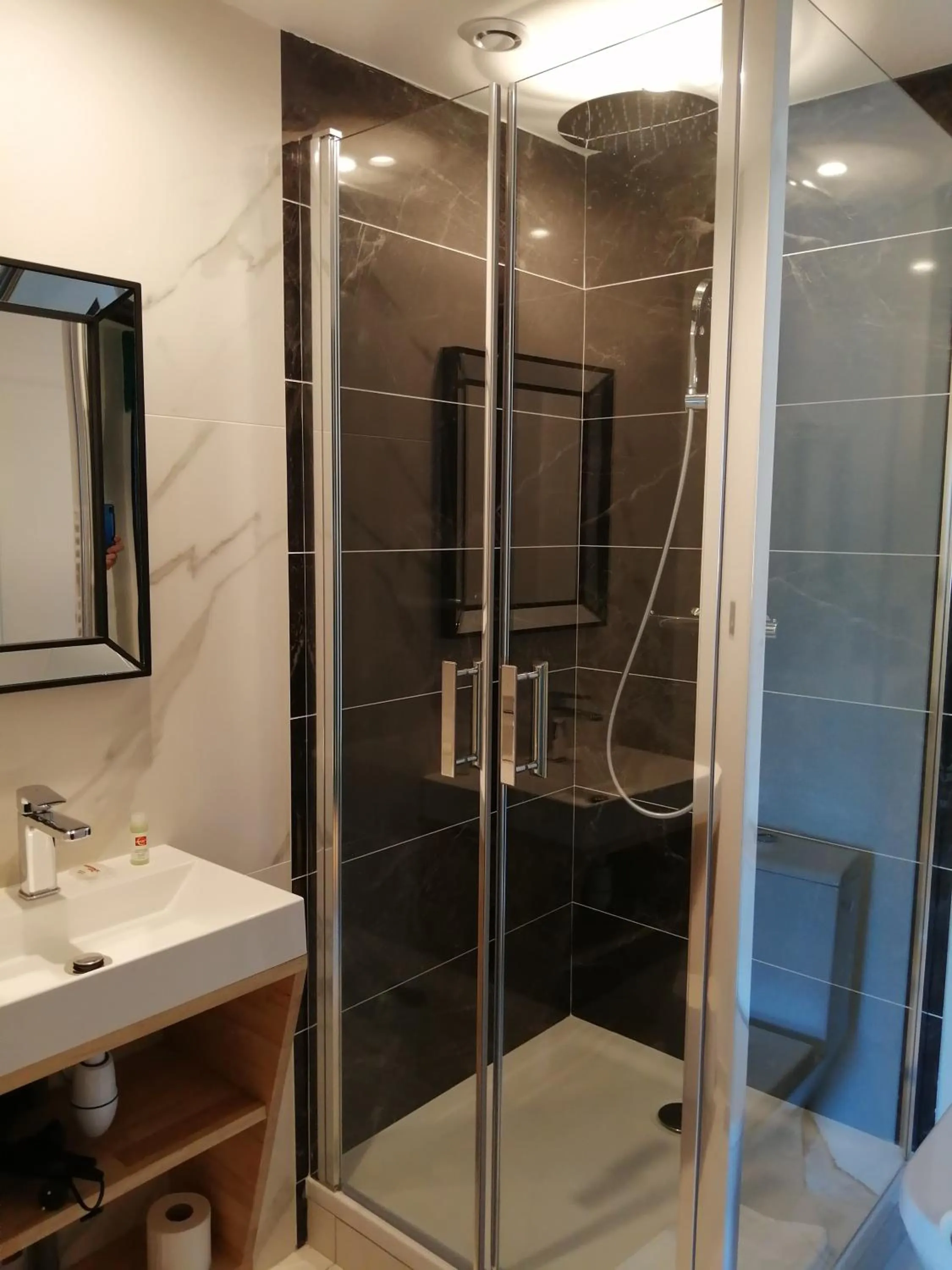 Bathroom in Hotel Du Cygne Tours