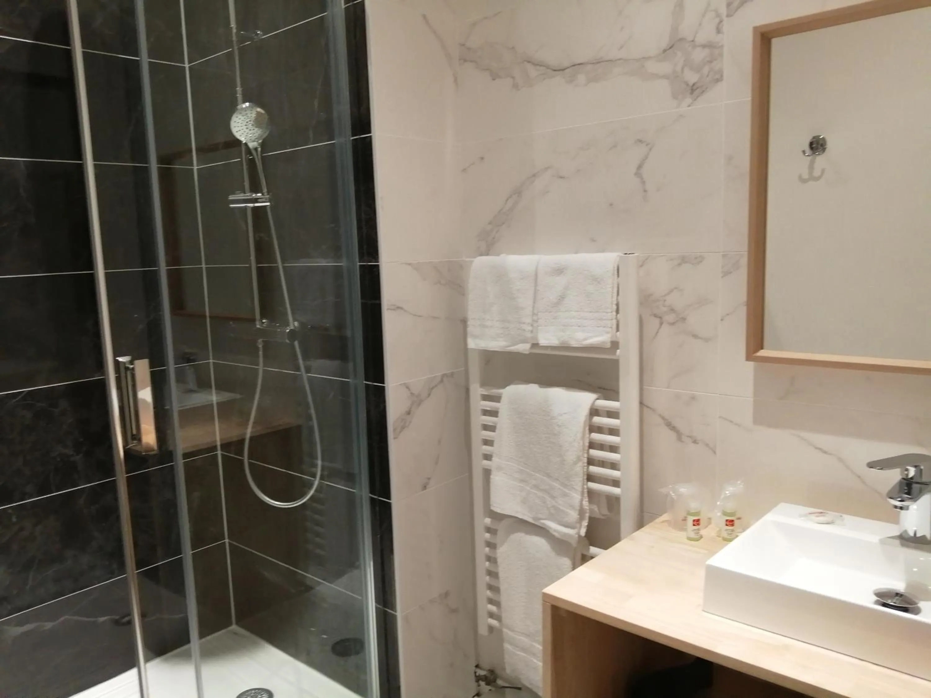 Bathroom in Hotel Du Cygne Tours