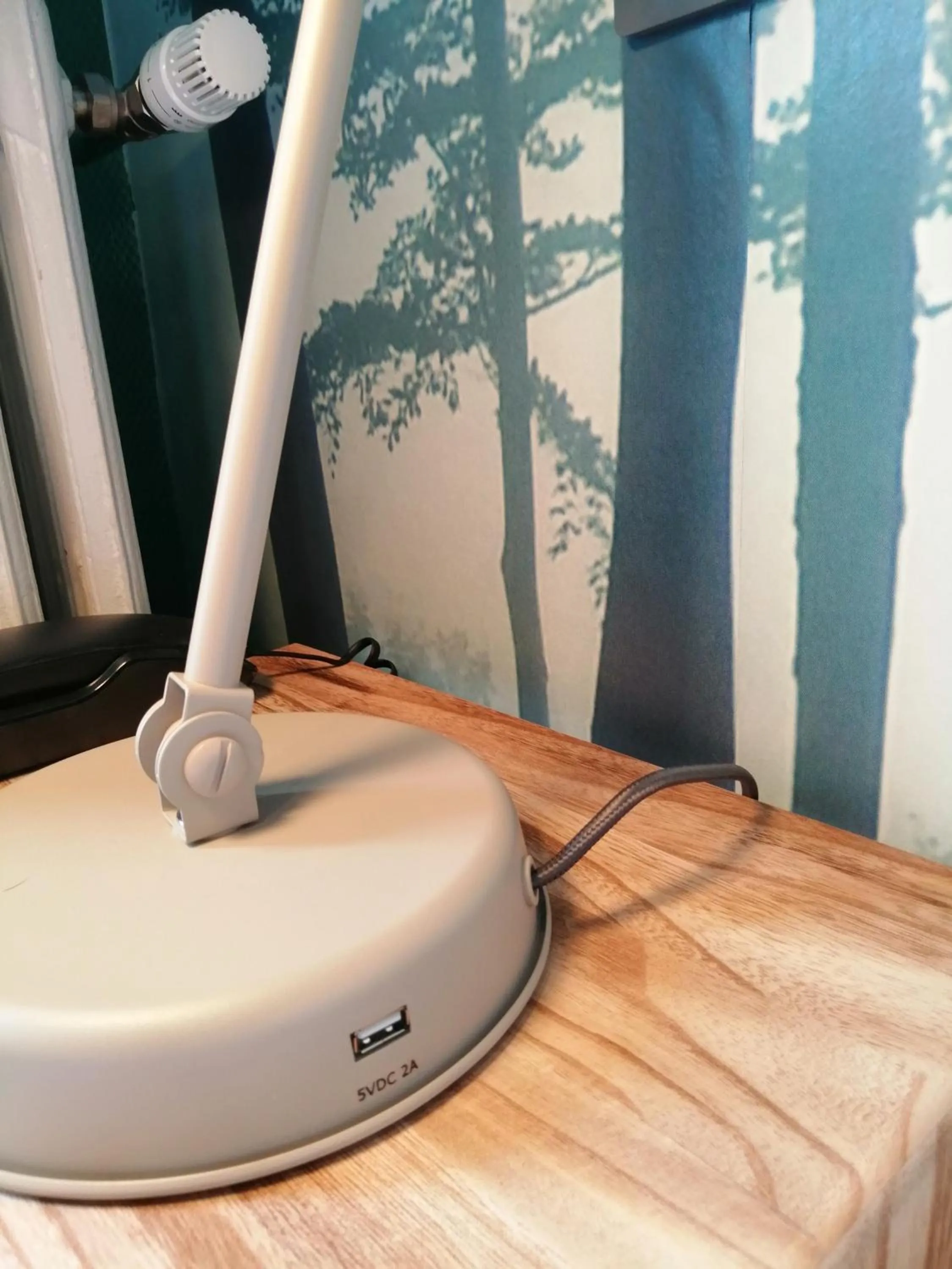 Other in Hotel Du Cygne Tours