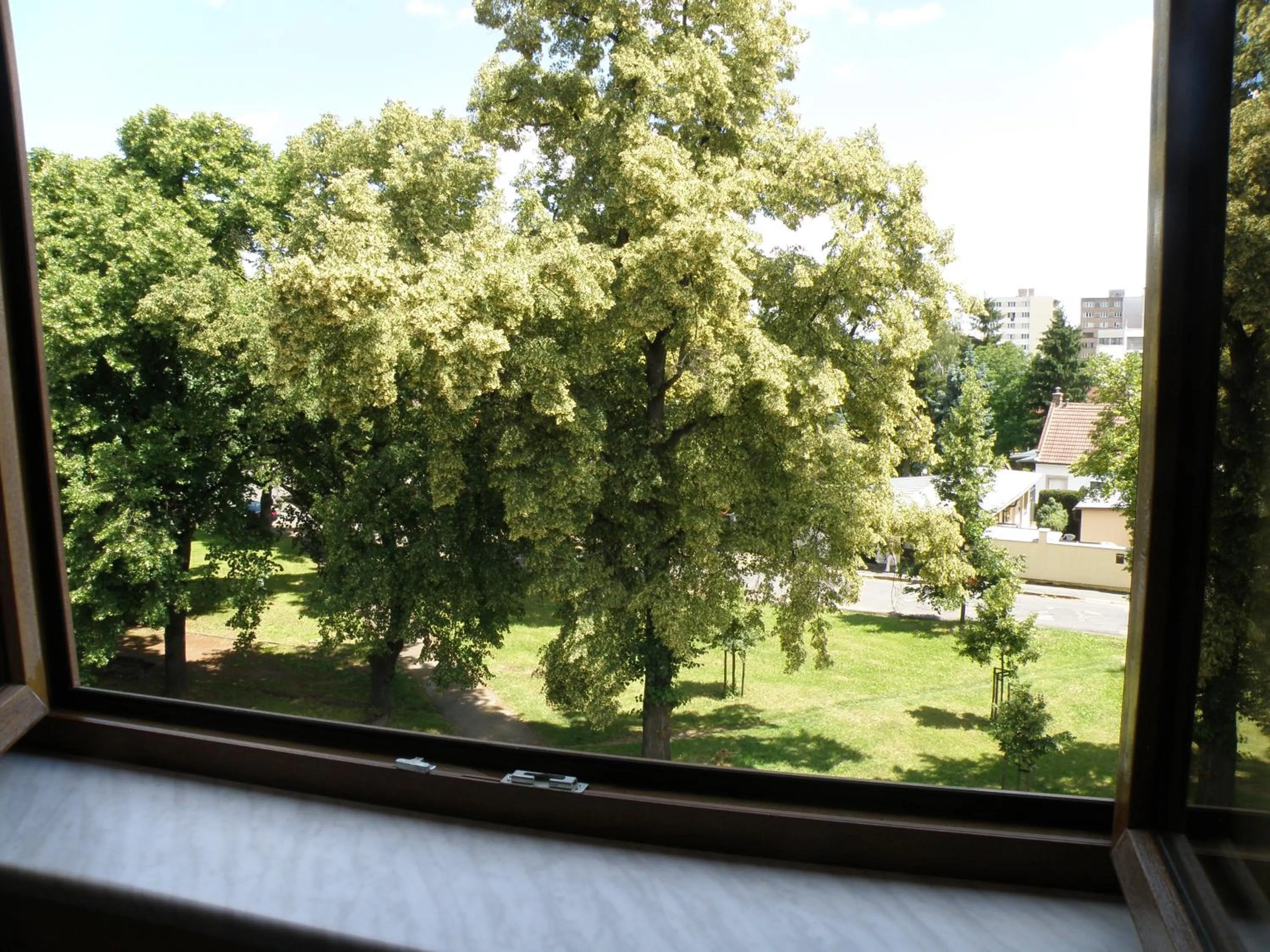 View (from property/room) in Hotel Kreta