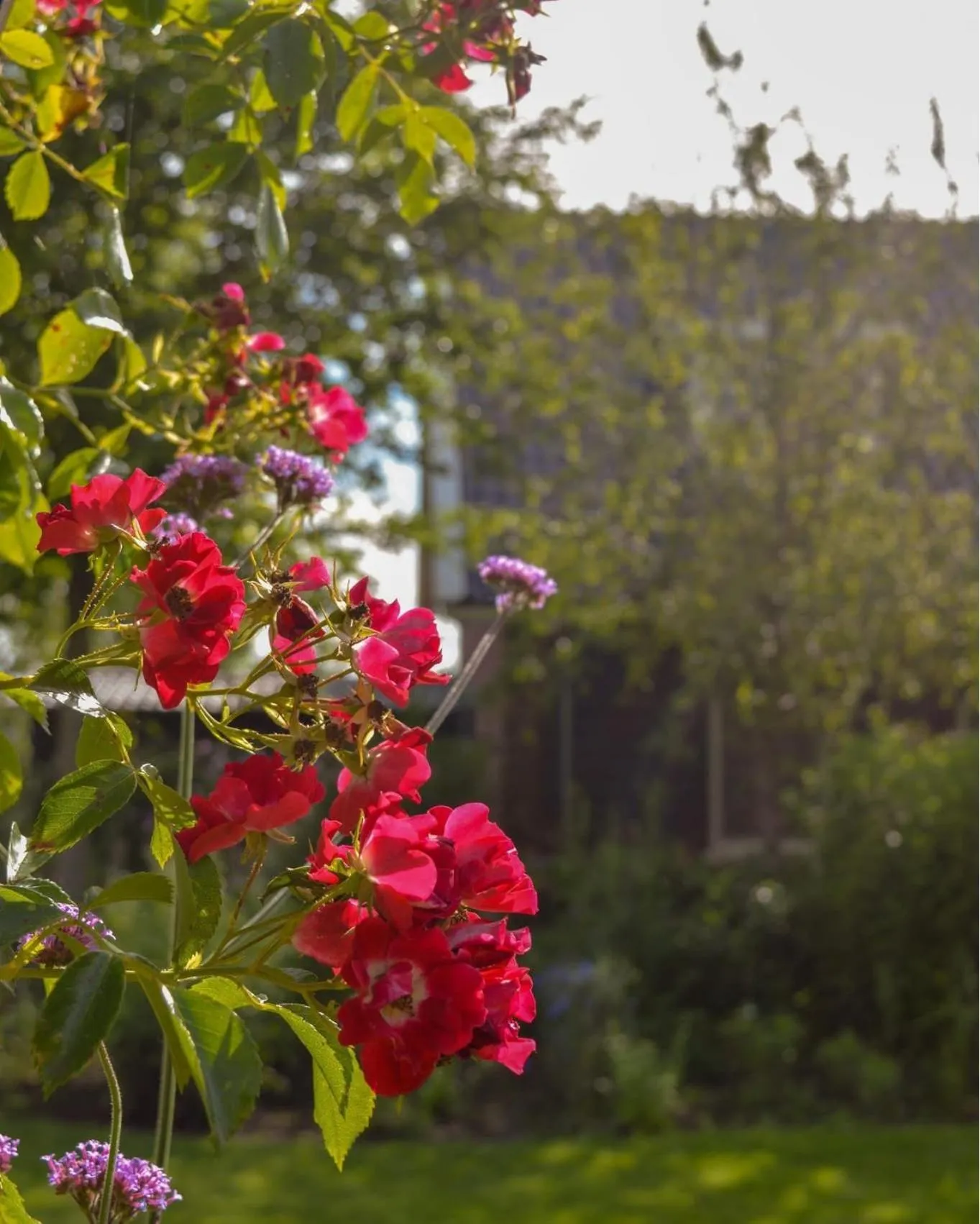 Property building in De Sfeerstal
