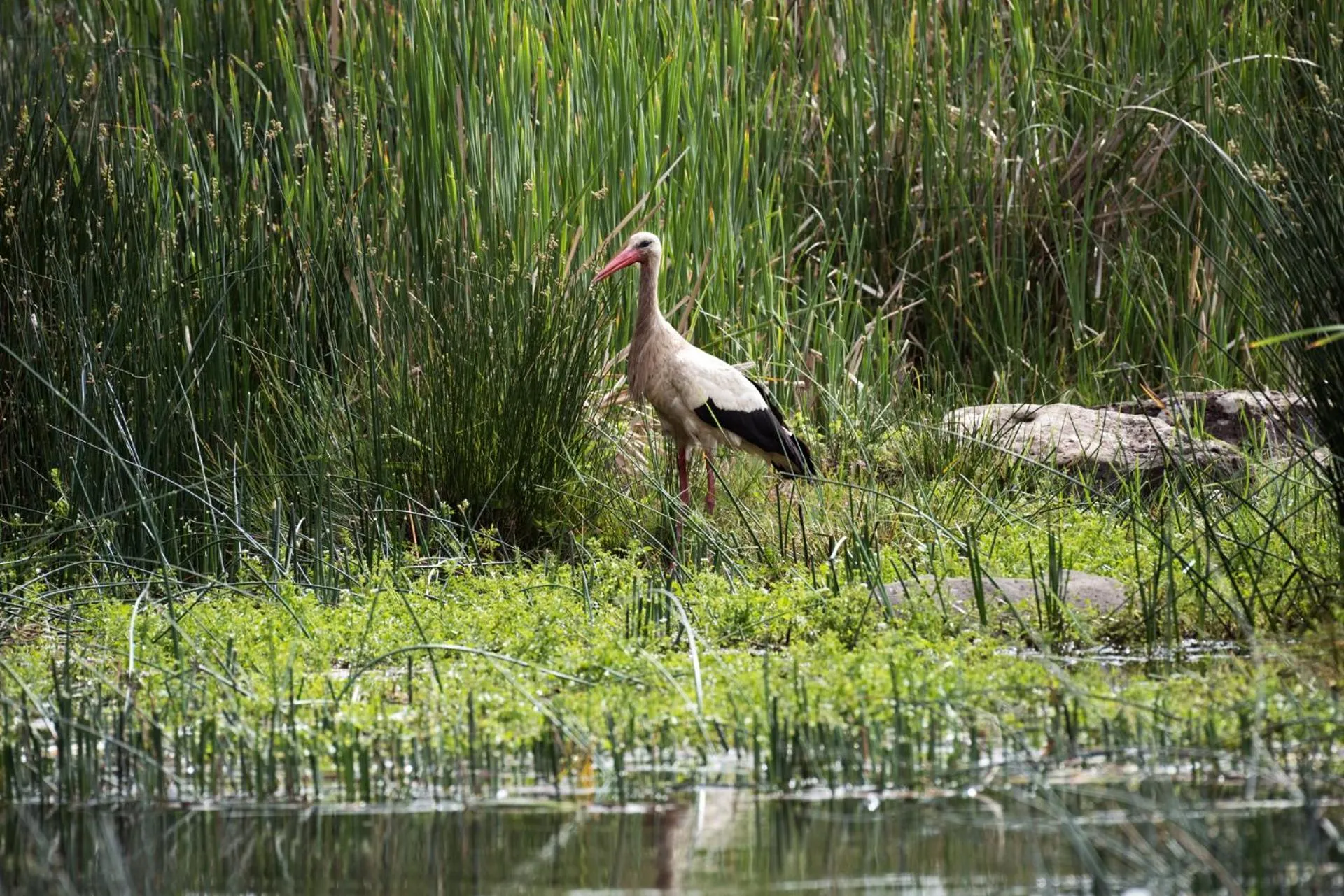 Off site in Michlifen Resort & Golf