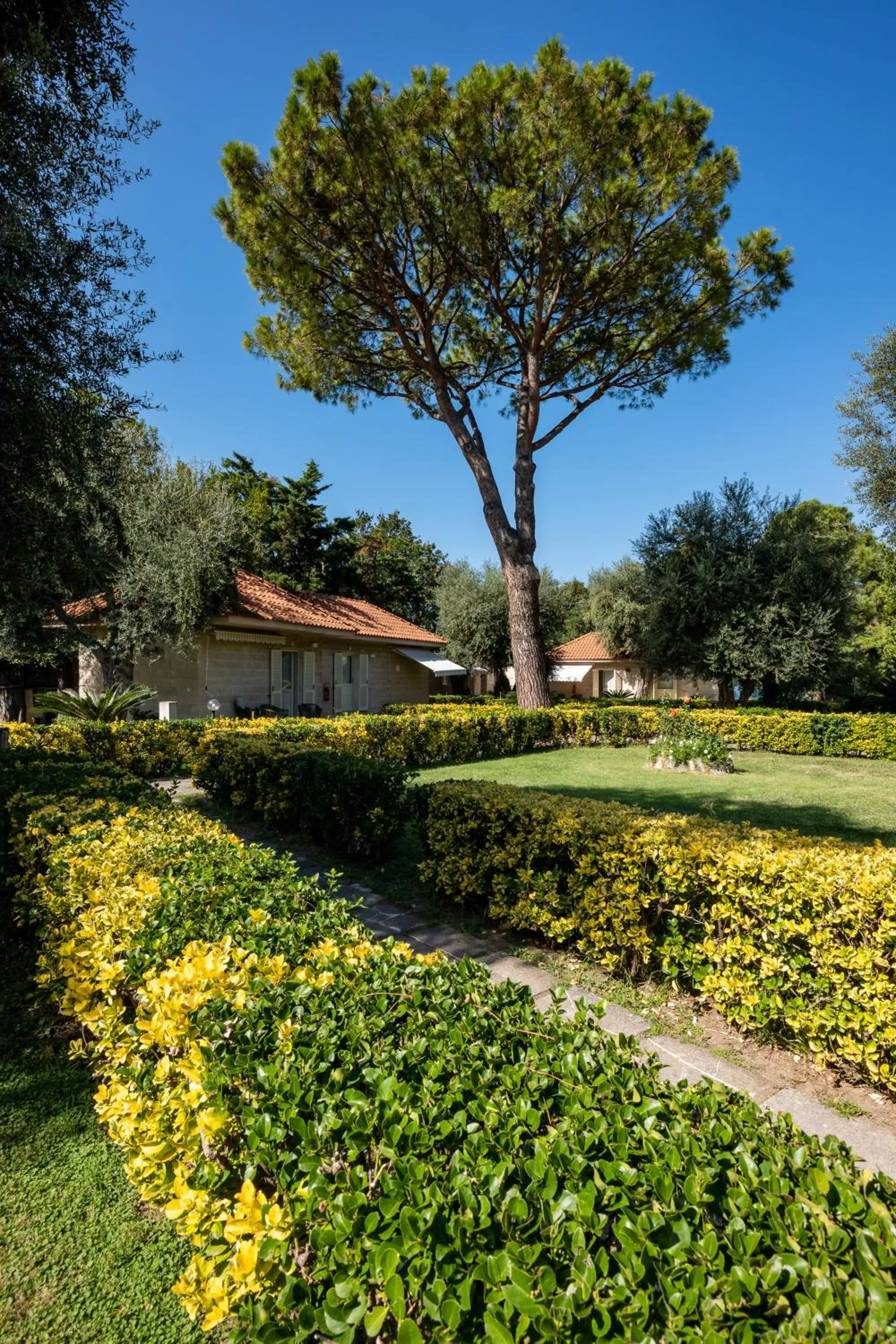 Garden in Sopramare Resort