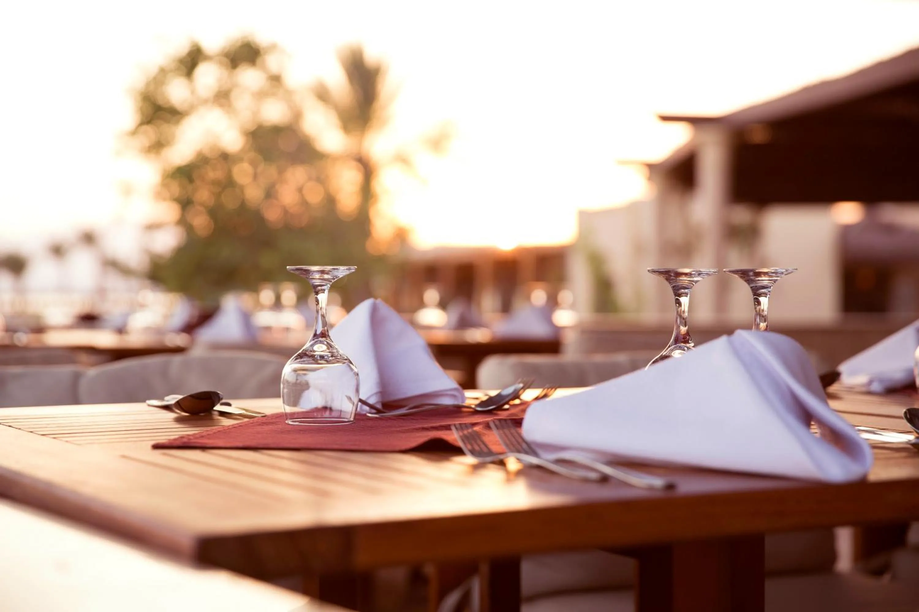 Restaurant/places to eat in Robinson Soma Bay