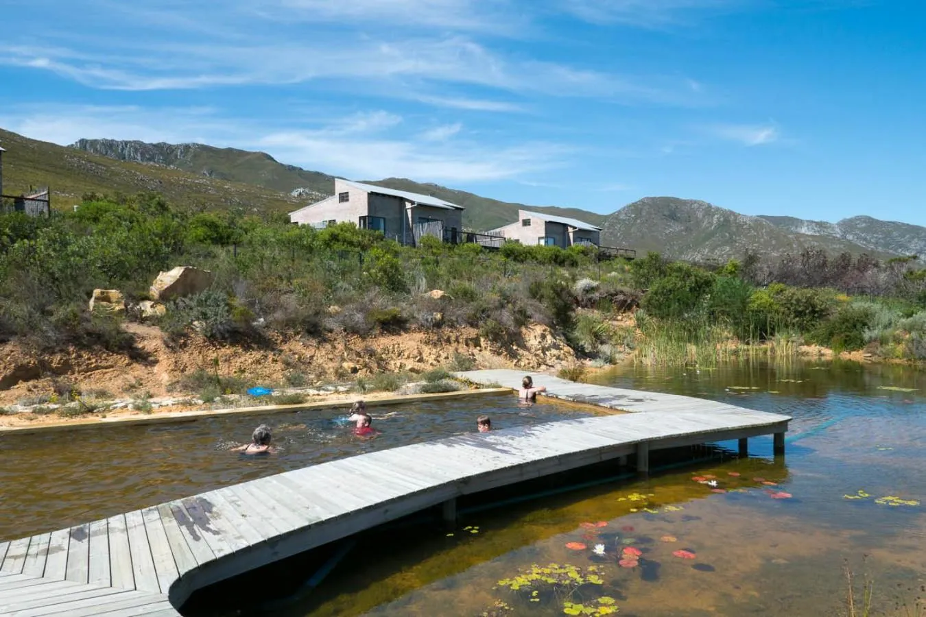 Phillipskop Eco-Chalets