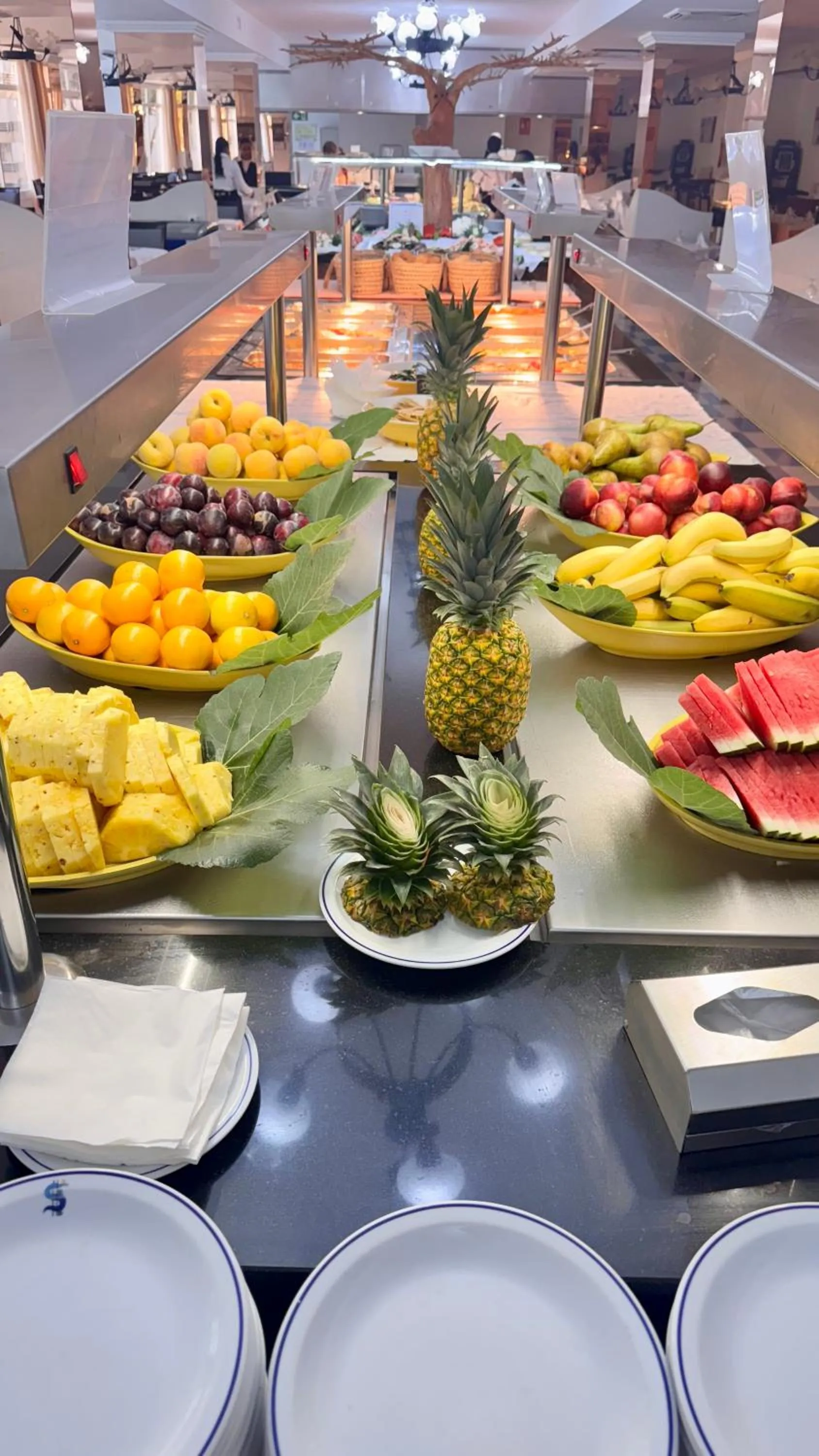 Restaurant/places to eat in Santa Monica Playa