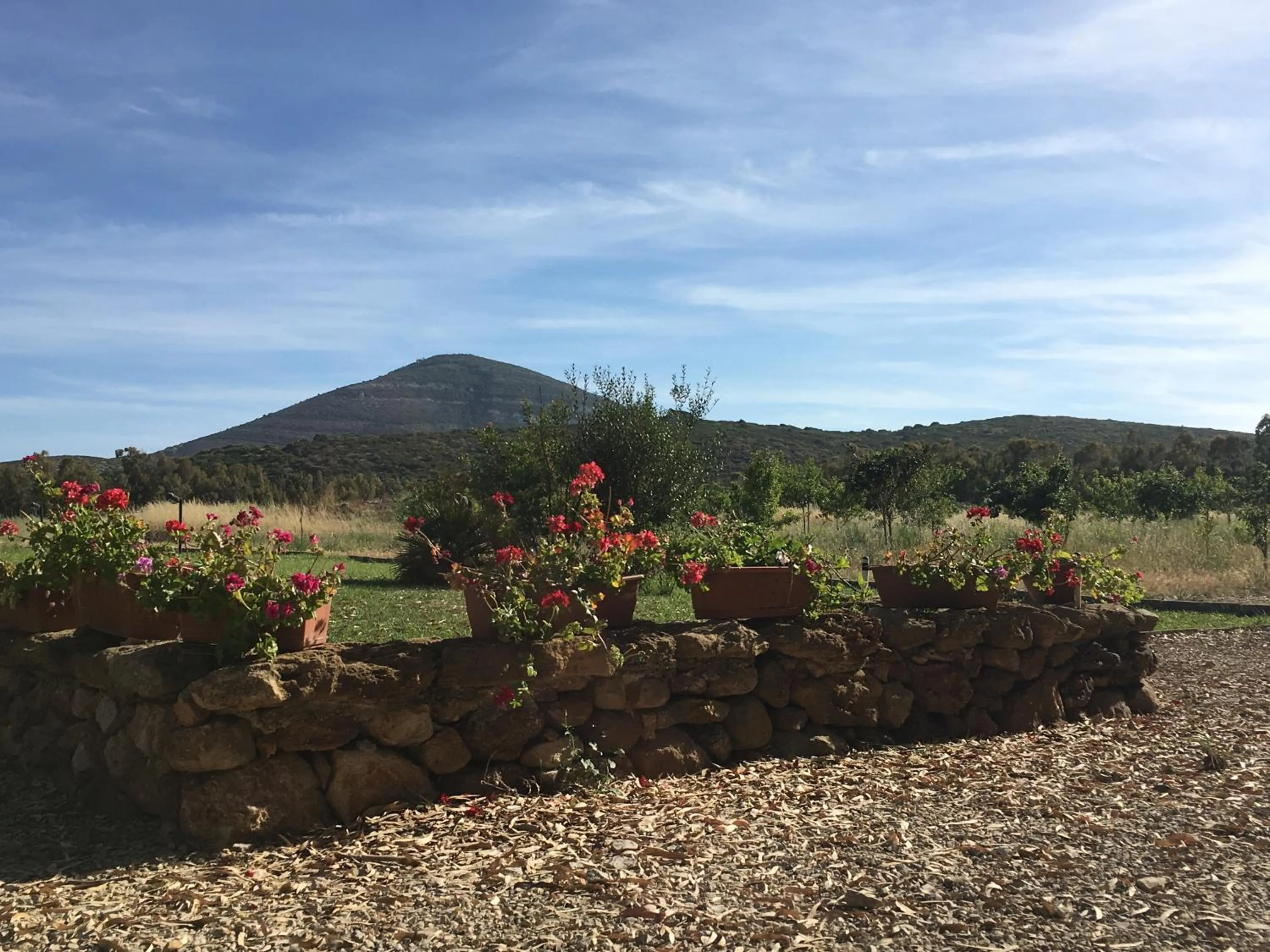 Garden in Villa Arzilla Sardegna