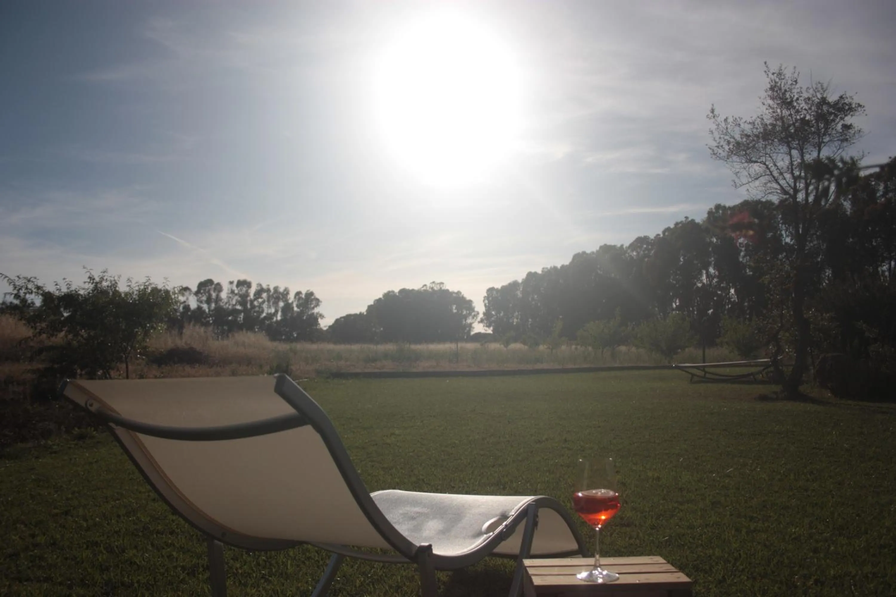 Garden in Villa Arzilla Sardegna