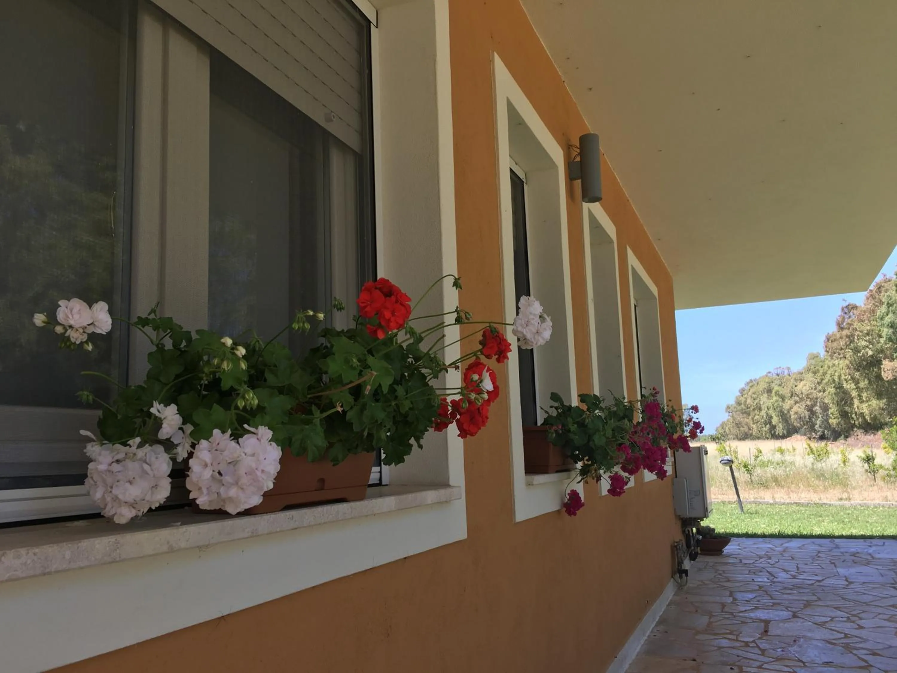 Decorative detail in Villa Arzilla Sardegna