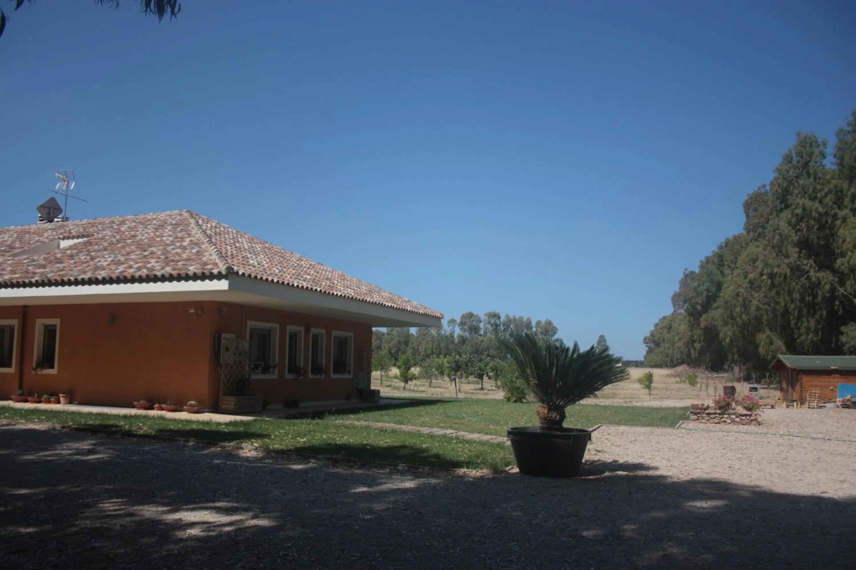 Property building in Villa Arzilla Sardegna