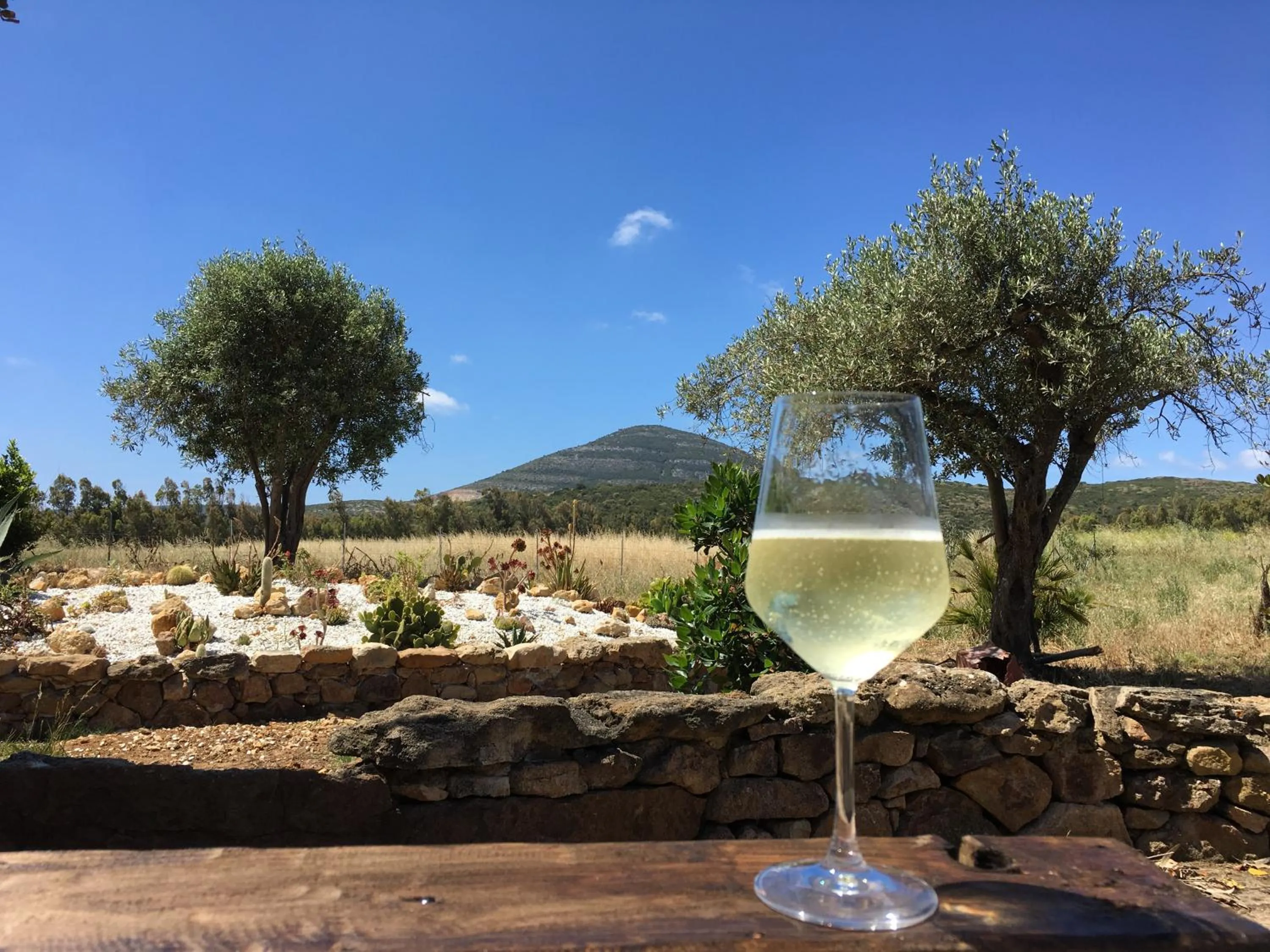 Garden in Villa Arzilla Sardegna
