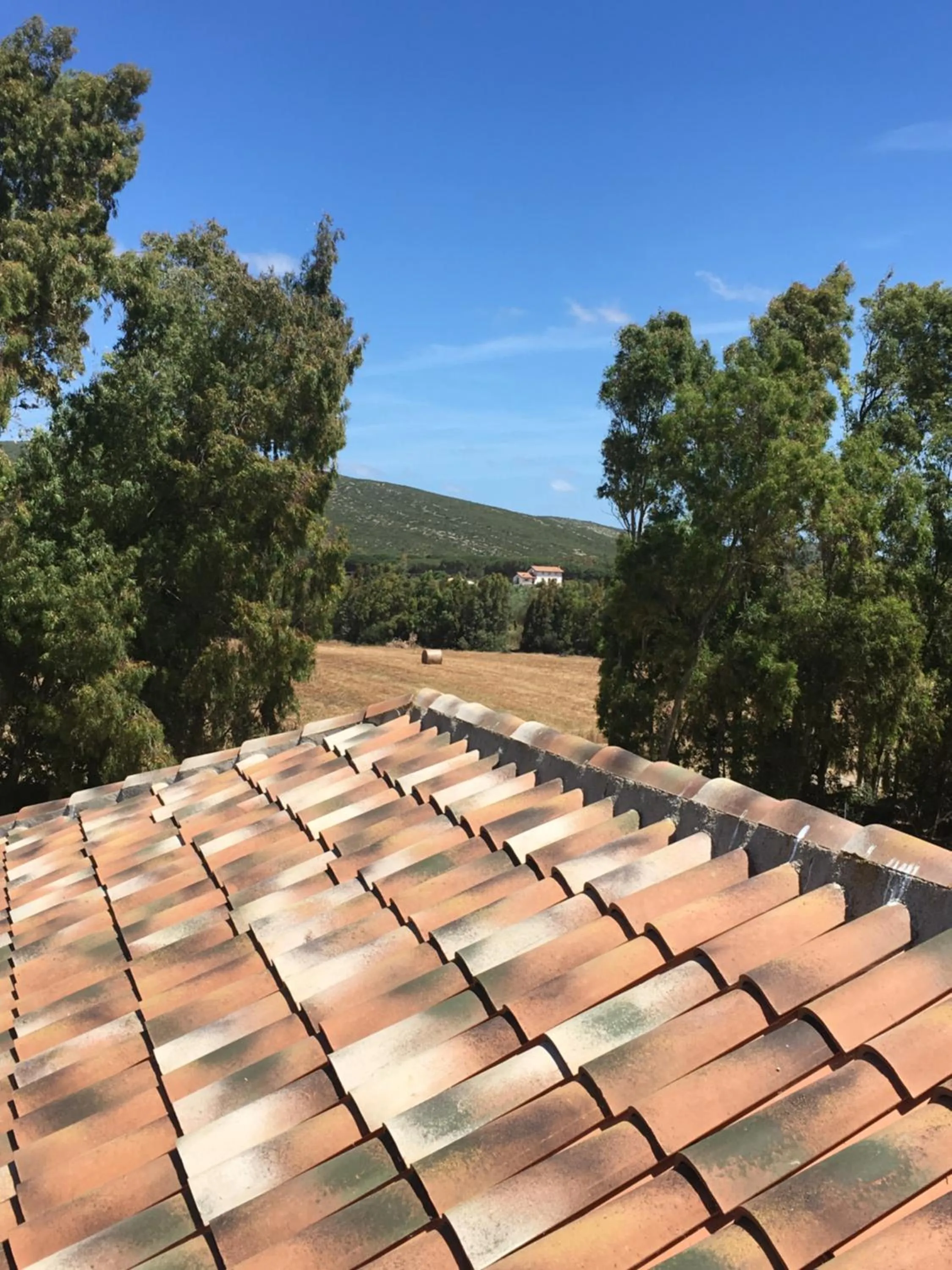 Natural landscape in Villa Arzilla Sardegna
