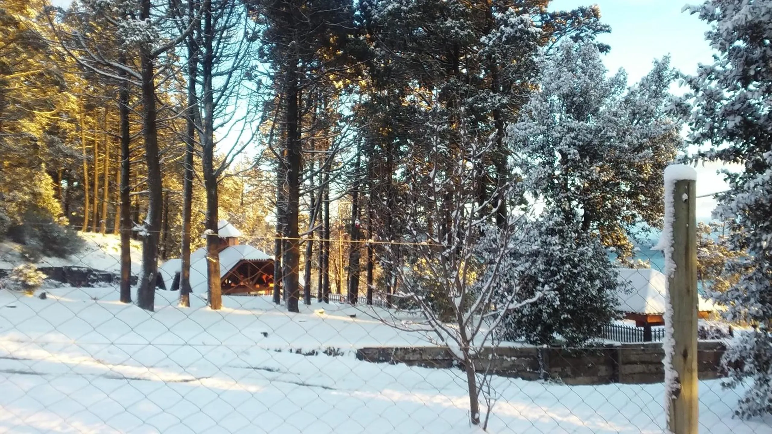 Garden view in HTL La Malinka