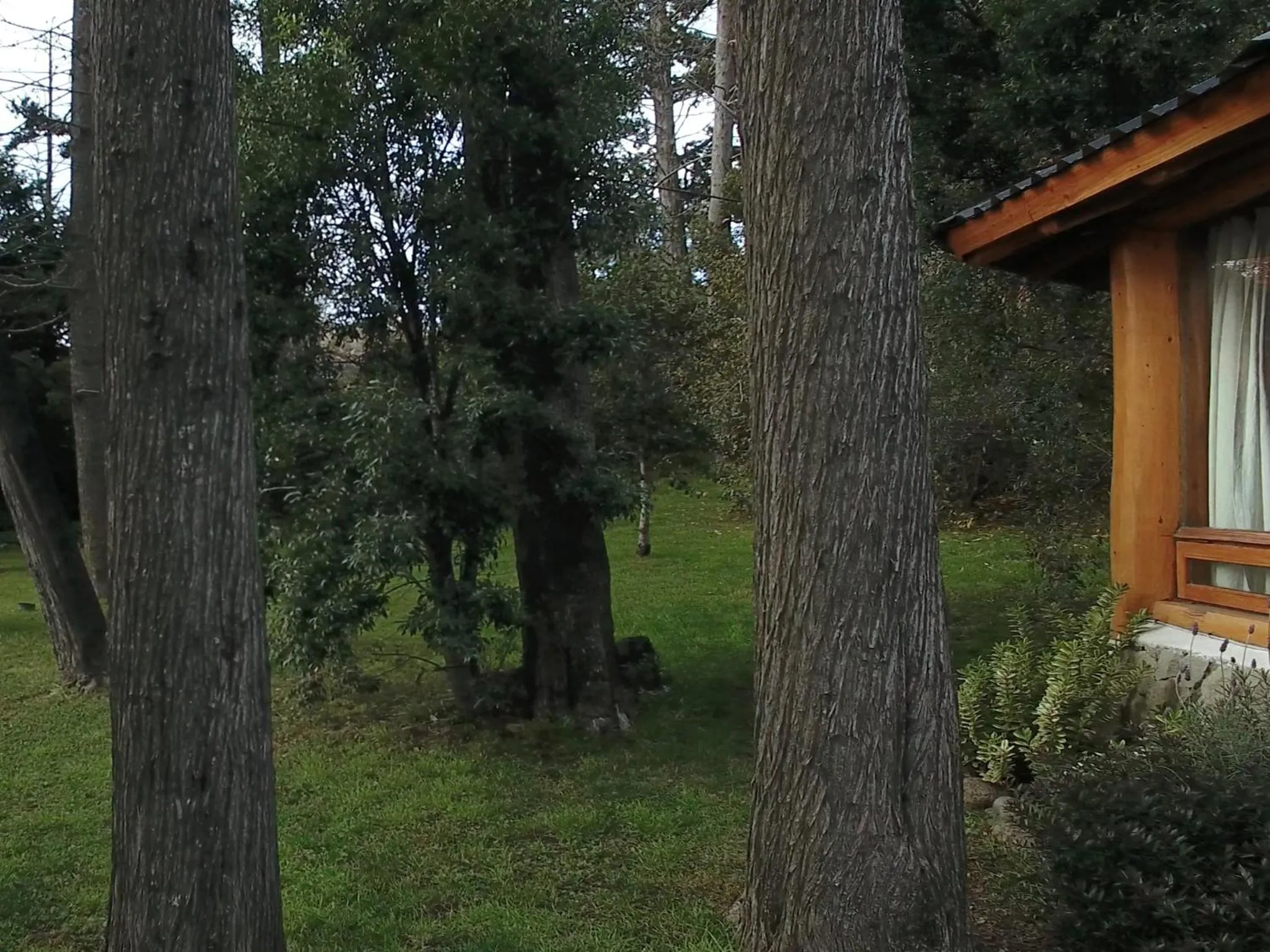 Garden in HTL La Malinka