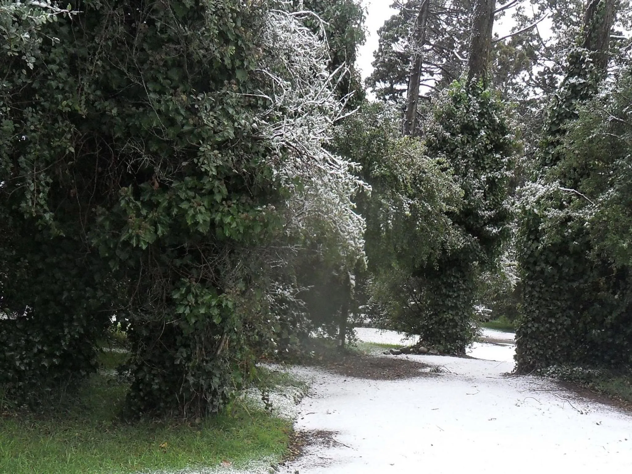 Other in HTL La Malinka