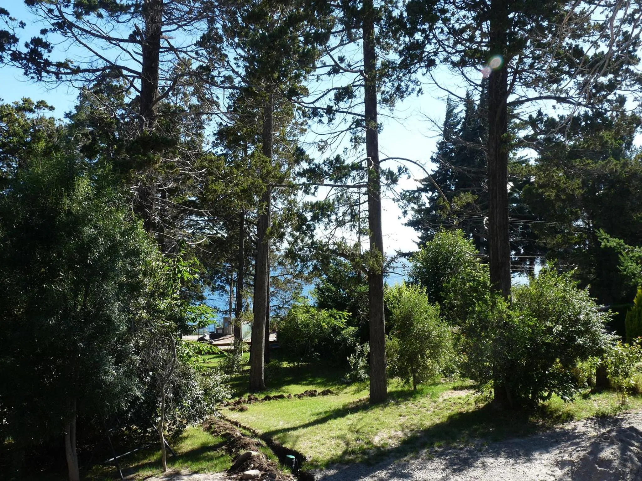 Garden in HTL La Malinka