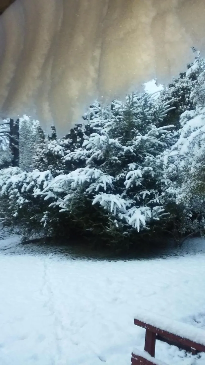 Garden in HTL La Malinka