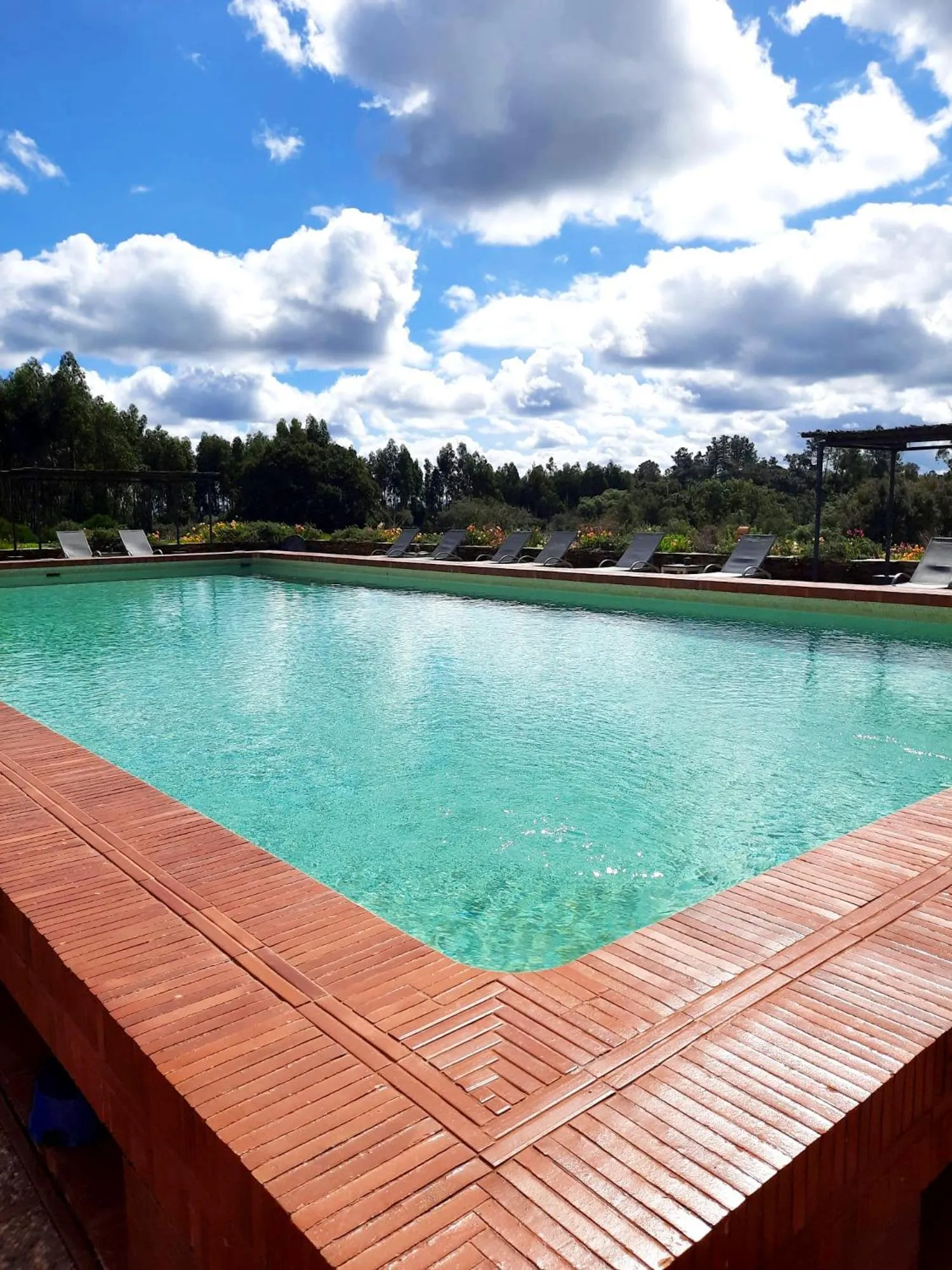Swimming pool in Naturarte Campo - Duna Parque Resorts & Hotels