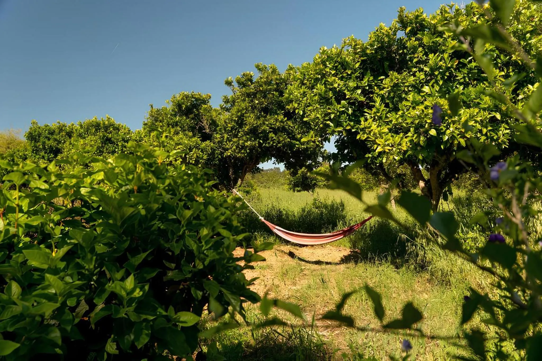 sunbed in Naturarte Campo - Duna Parque Resorts & Hotels