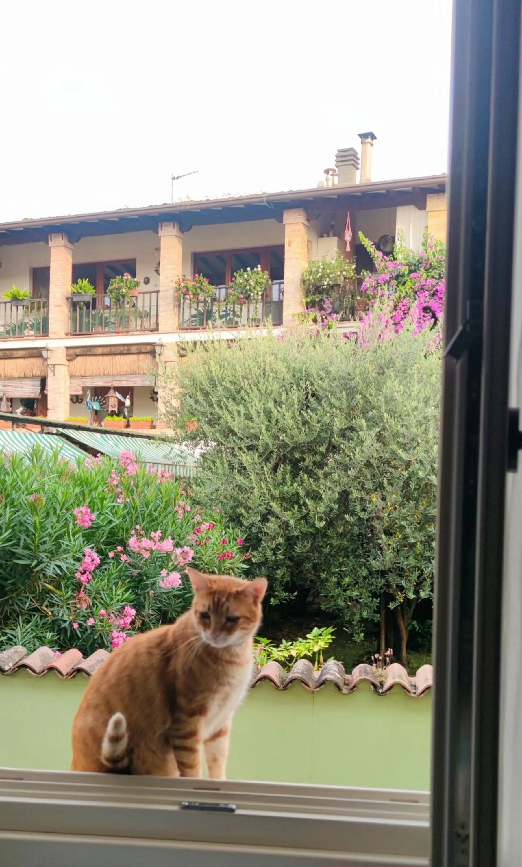 View (from property/room) in Dolce Lago B&B