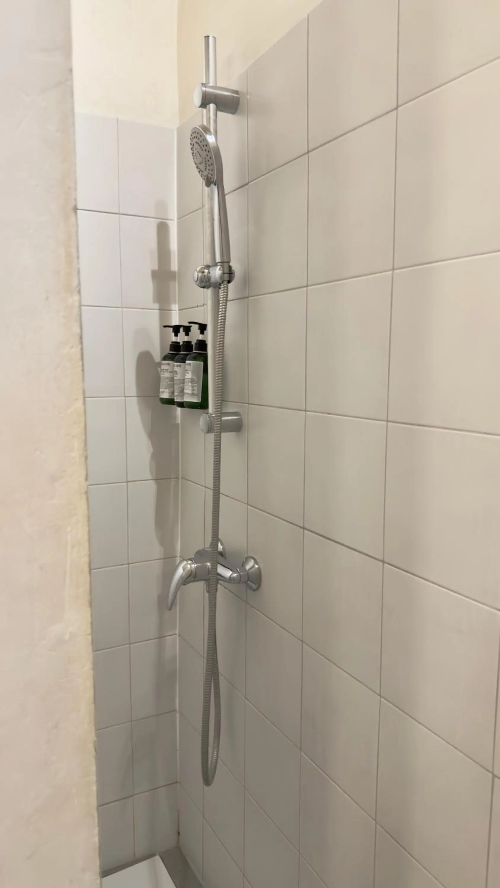 Shower in Les Suites de Sautet - Chambéry centre