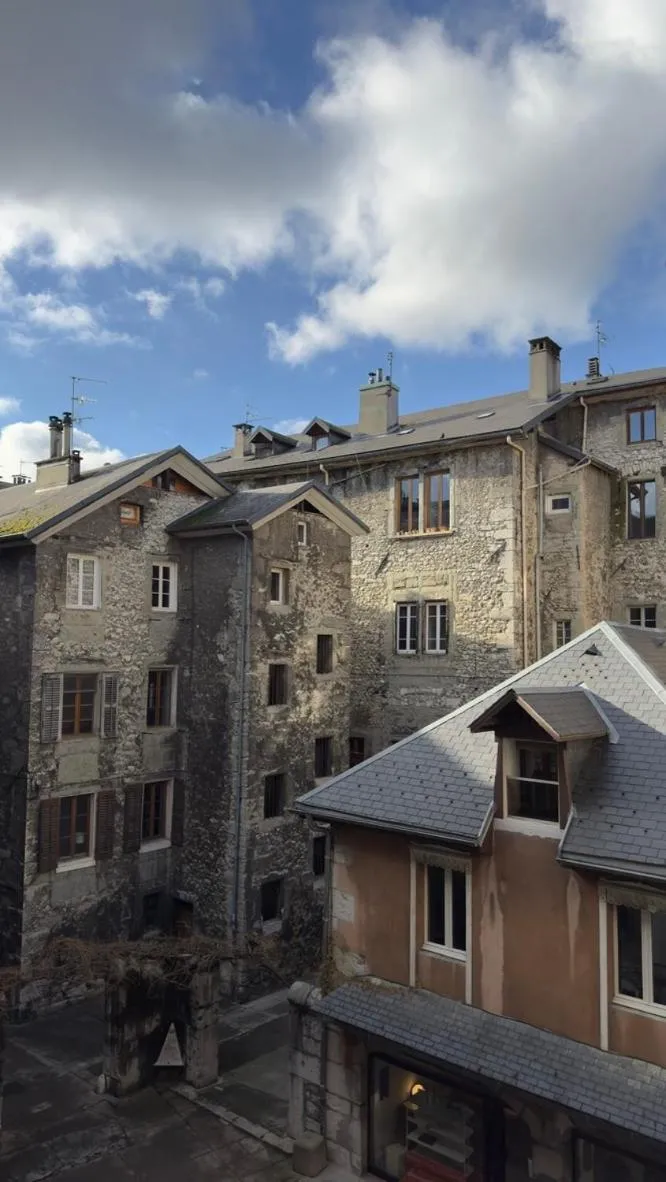 View (from property/room) in Les Suites de Sautet - Chambéry centre