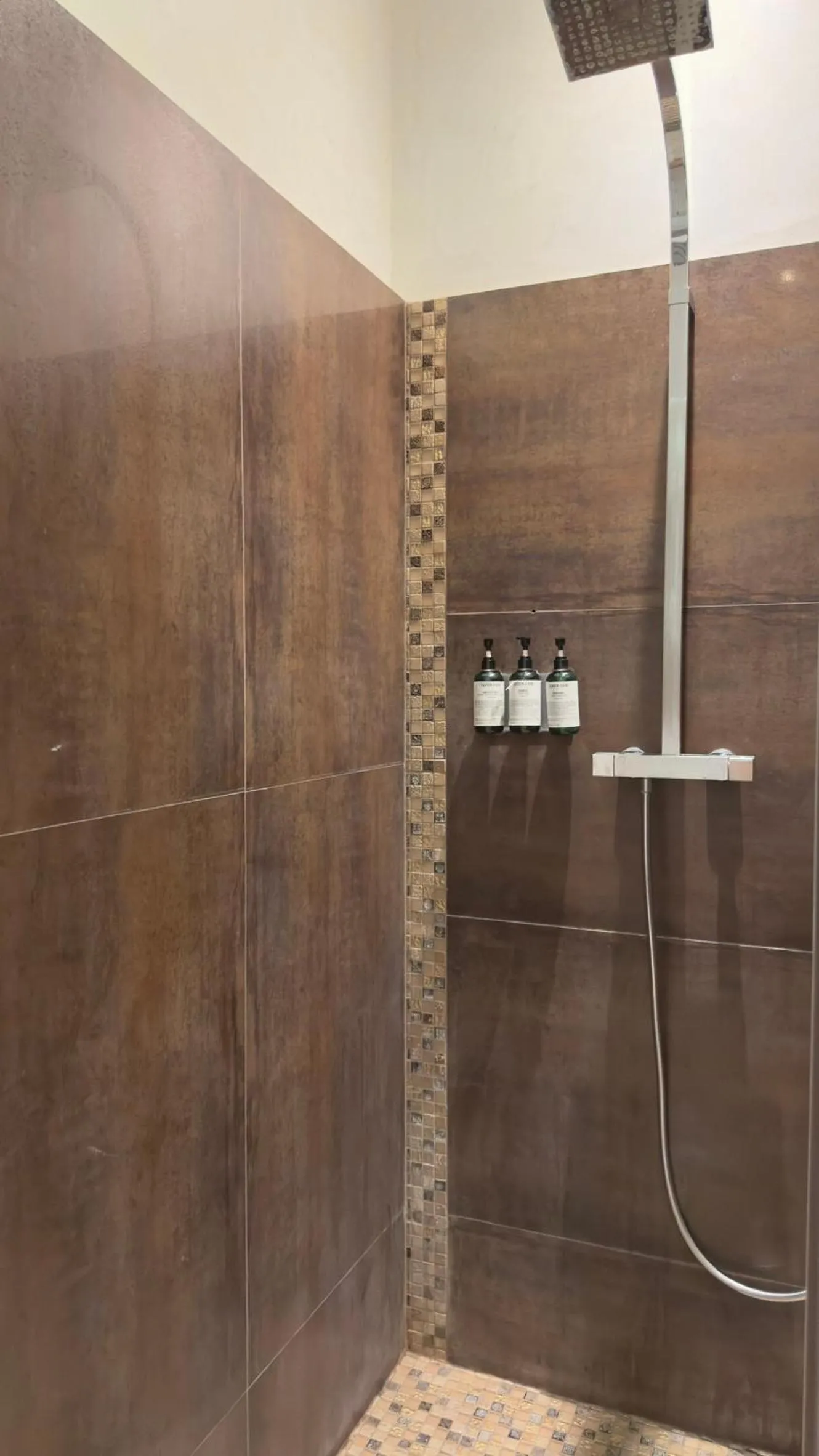 Shower in Les Suites de Sautet - Chambéry centre