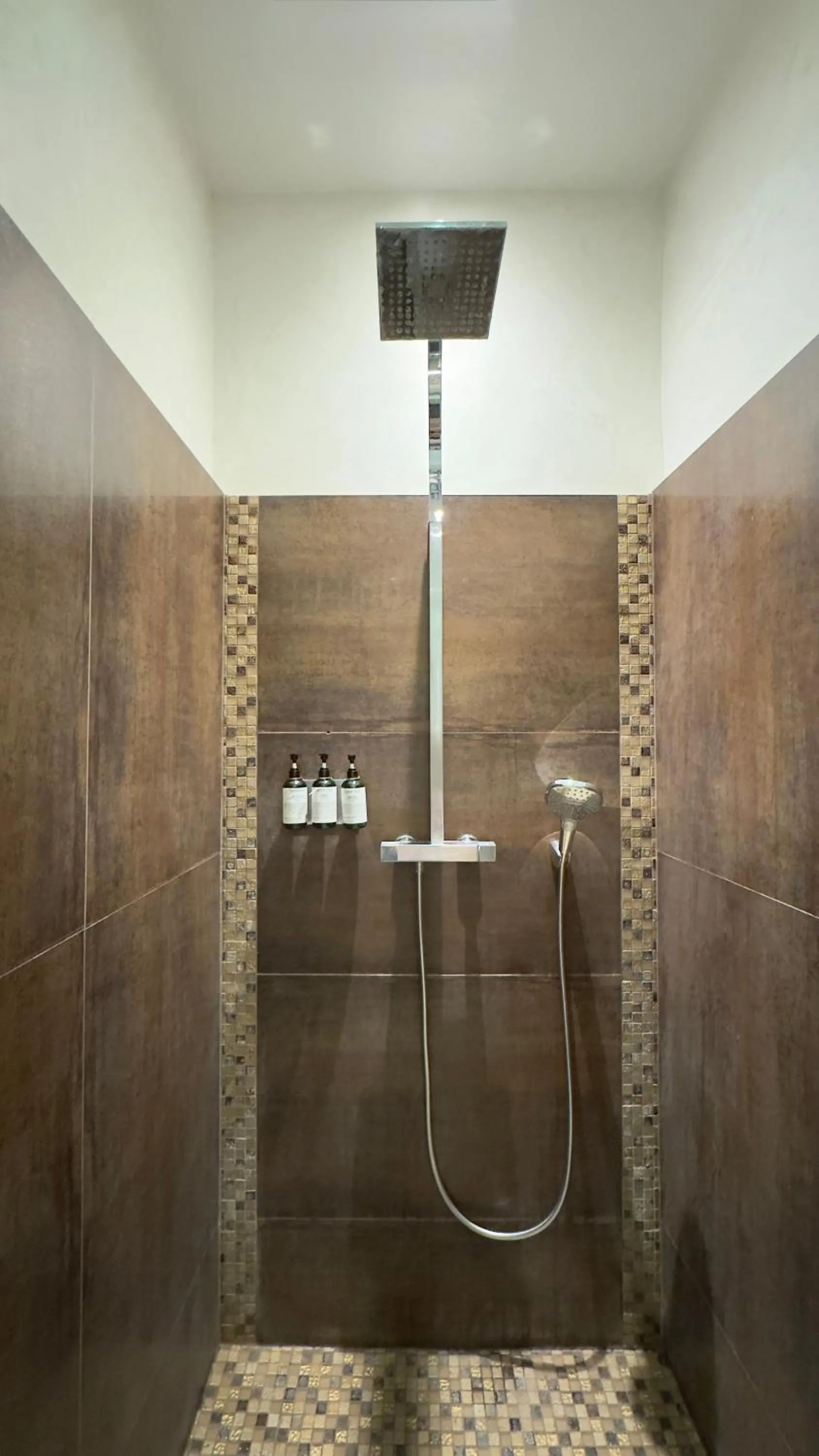 Shower in Les Suites de Sautet - Chambéry centre
