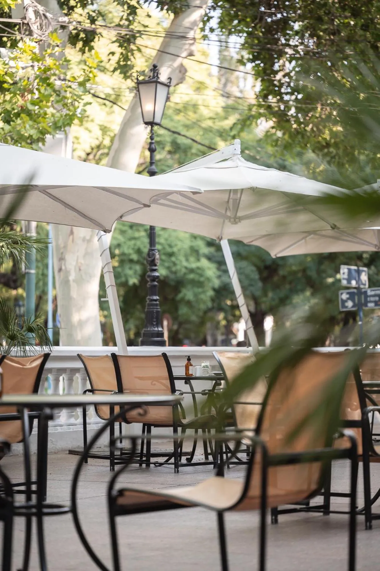 Dining area in Park Hyatt Mendoza Hotel, Casino & Spa